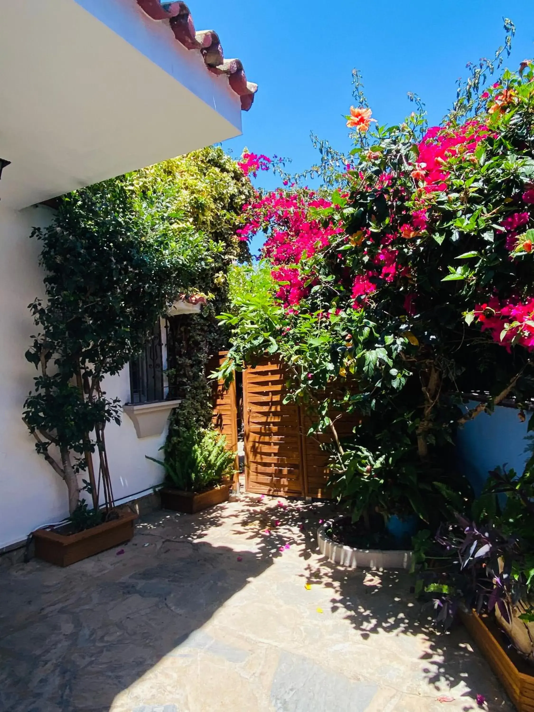 Superior Double Room in Villa Palma Superior Double Room in Villa Palma