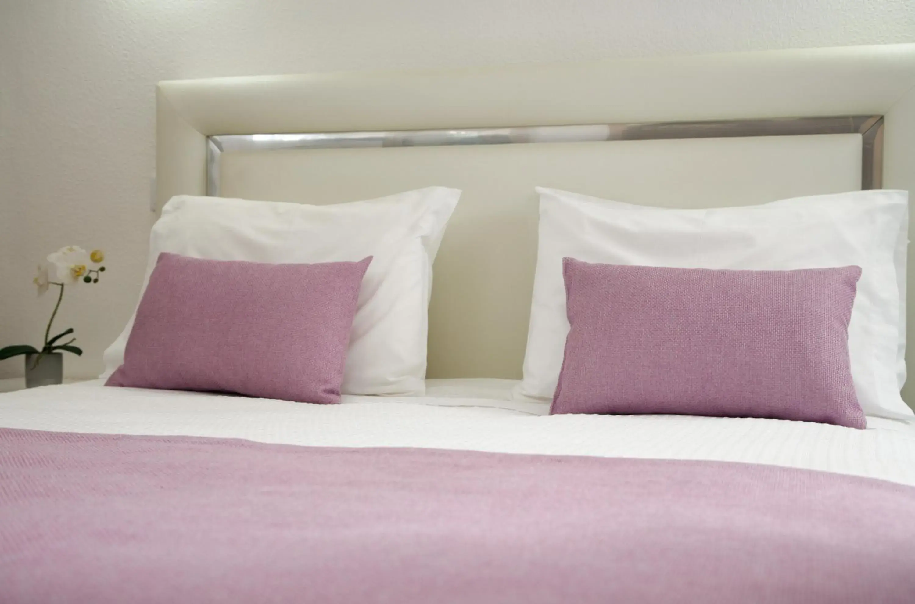 Standard Double Room - single occupancy in Nova Delpa AL Standard Double Room - single occupancy in Nova Delpa AL