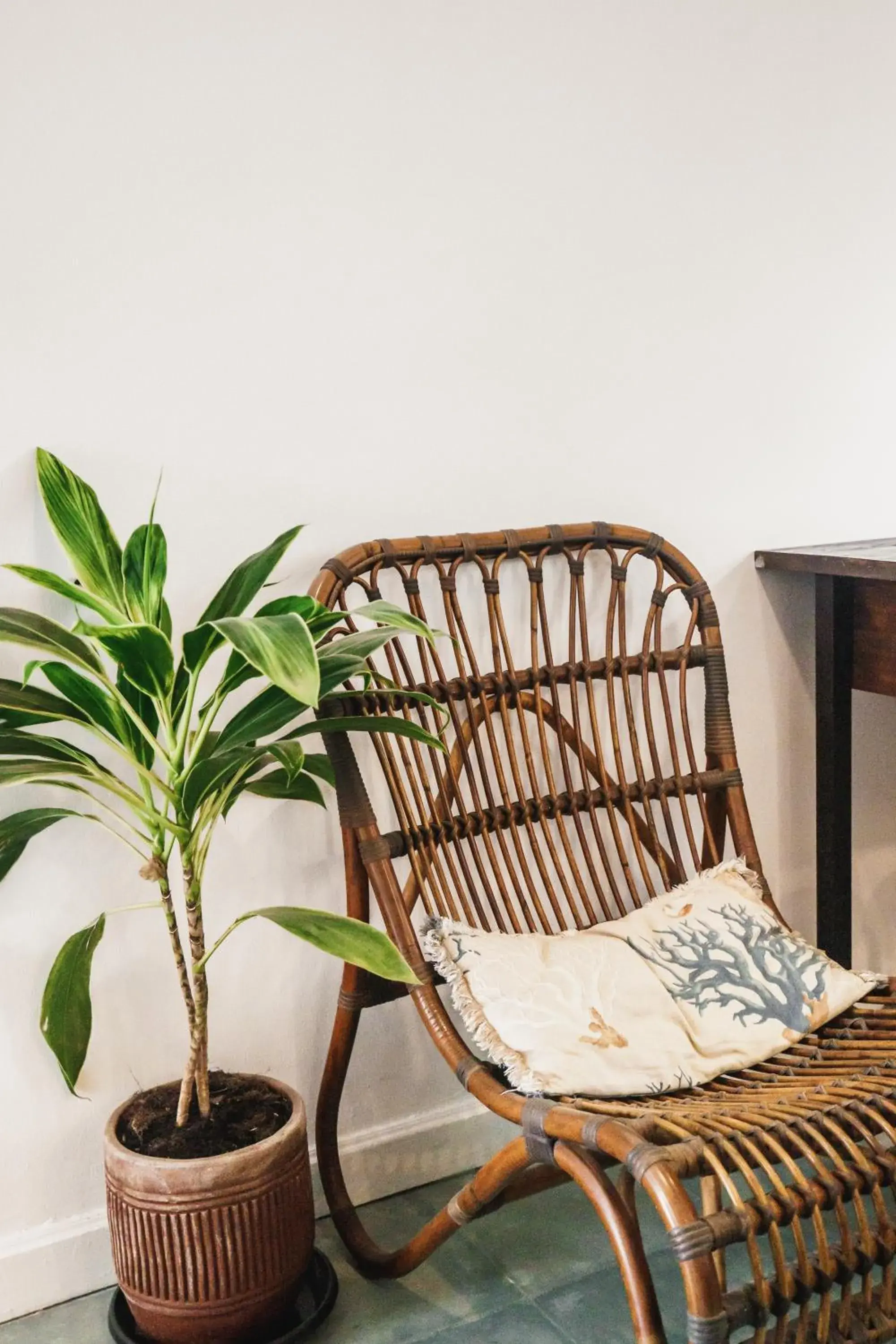 Ahusaka Standard Twin Room in Brown Feather Hotel Ahusaka Standard Twin Room in Brown Feather Hotel