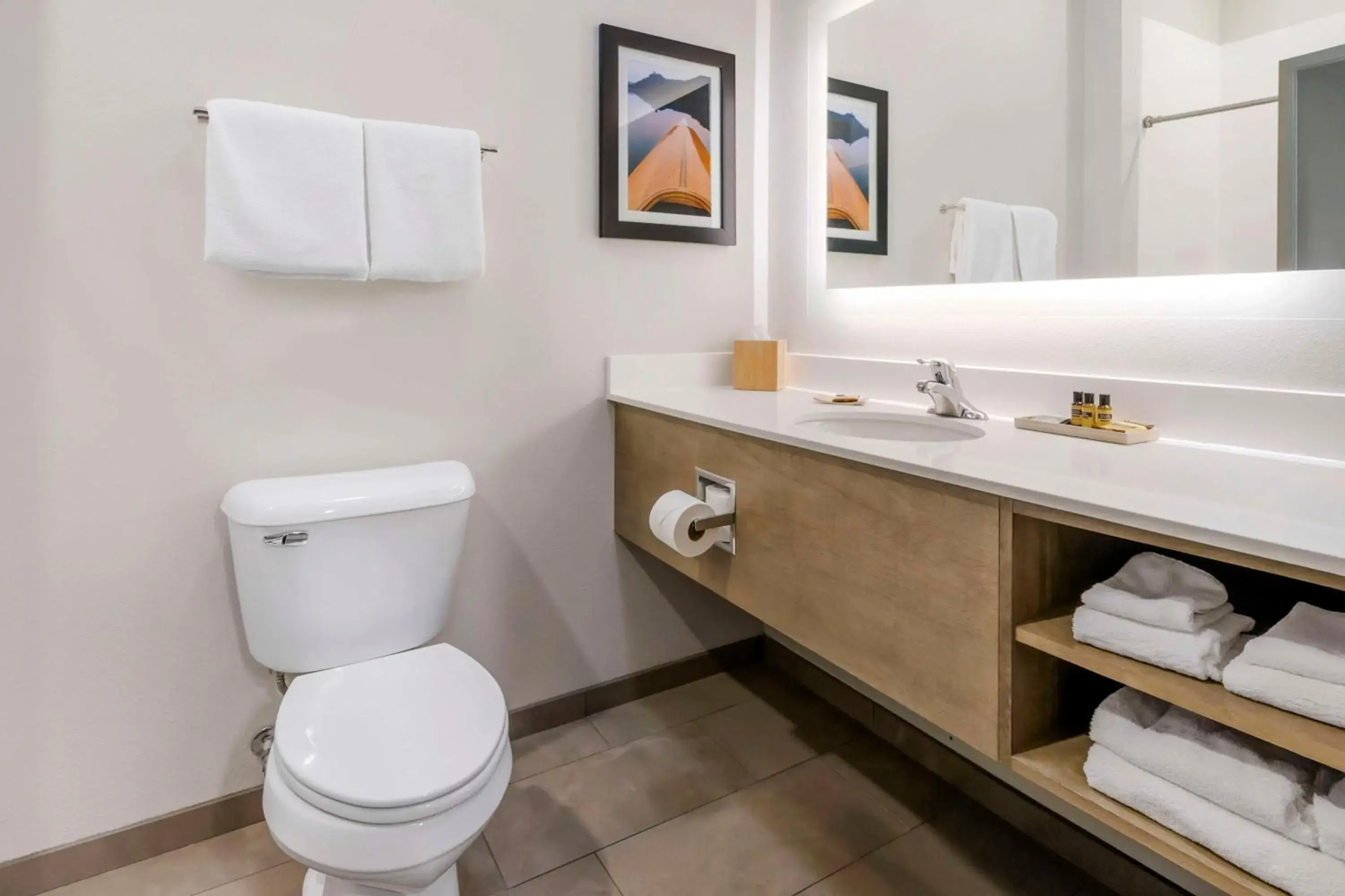 King Room with Roll-In Shower - Disability Access in Best Western Plus LaCrescent - LaCrosse King Room with Roll-In Shower - Disability Access in Best Western Plus LaCrescent - LaCrosse