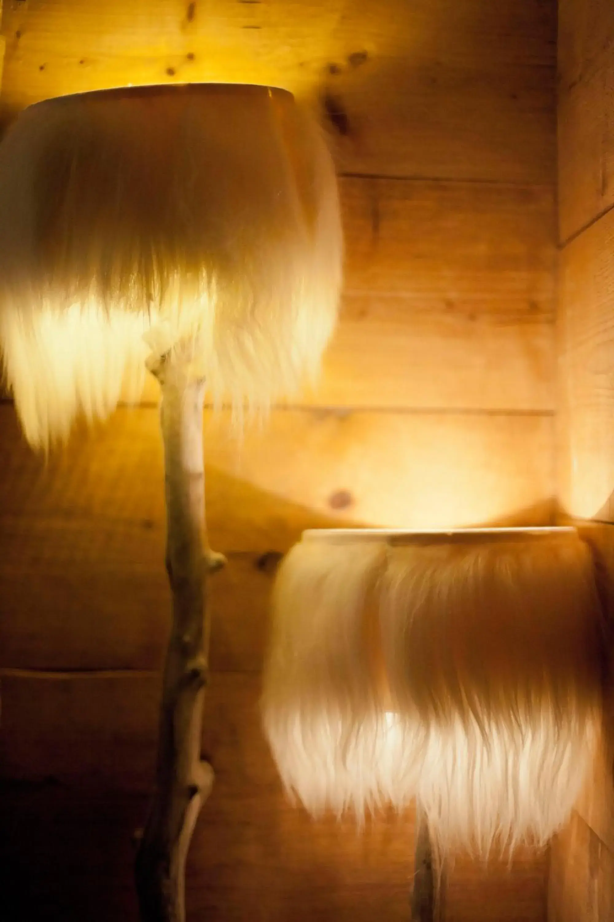 Junior Suite in Chalet Svizzero Junior Suite in Chalet Svizzero