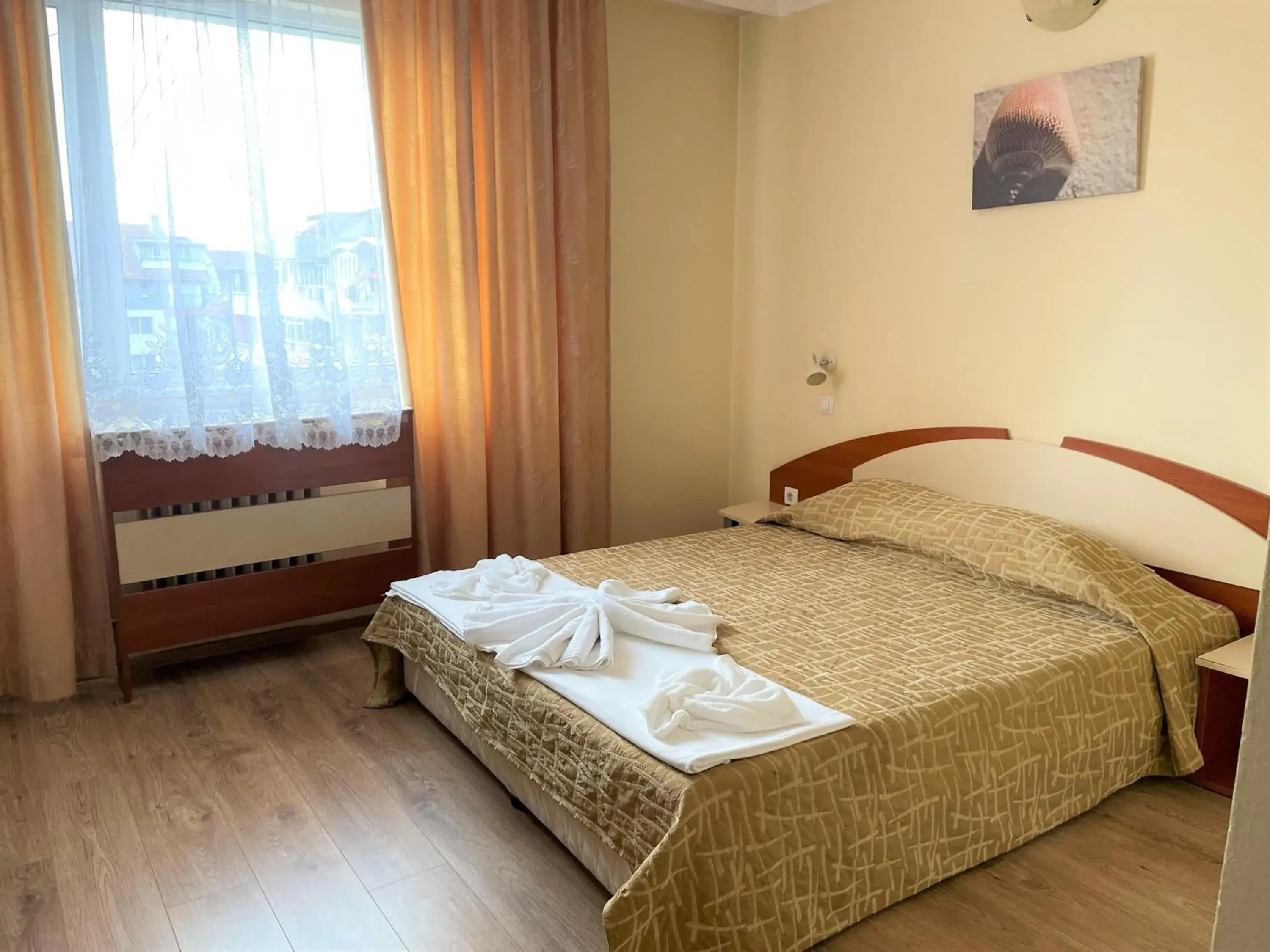 Double Room in Family Hotel Central Double Room in Family Hotel Central