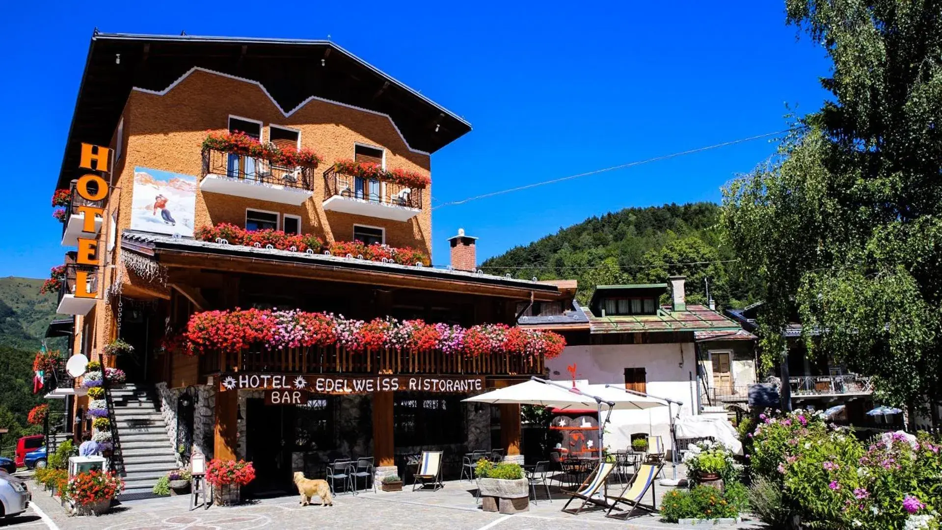Hotel Edelweiss Hotel Edelweiss