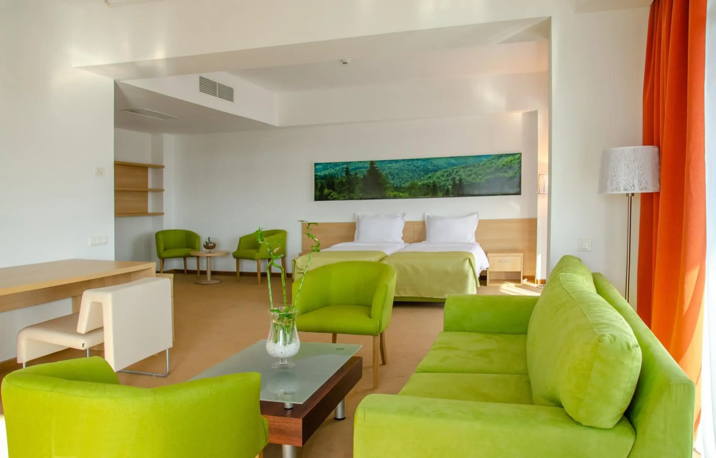 Junior Suite - single occupancy in Complex Silva Junior Suite - single occupancy in Complex Silva