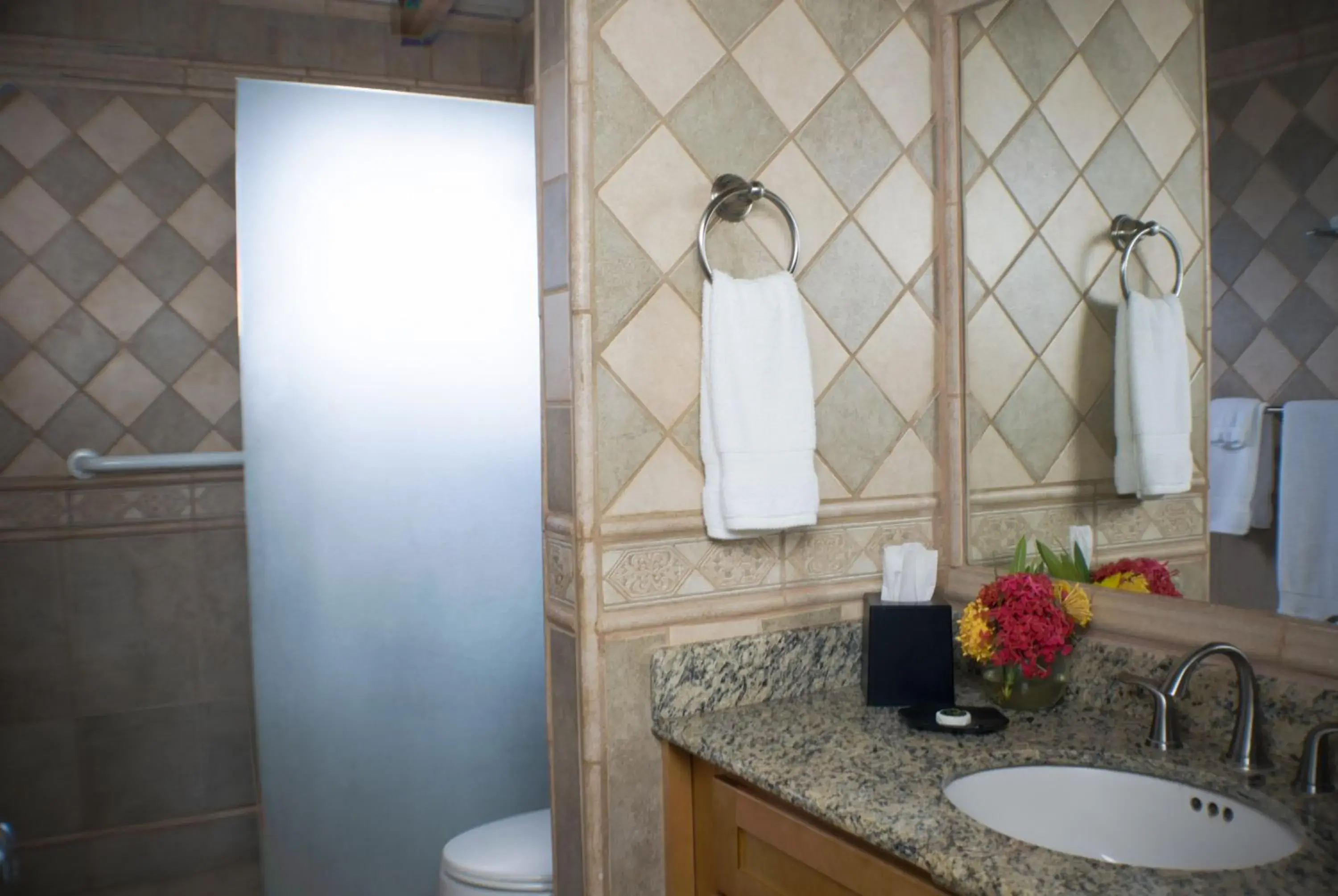 Ocean View Suite with King Bed in Mount Nevis Hotel Ocean View Suite with King Bed in Mount Nevis Hotel