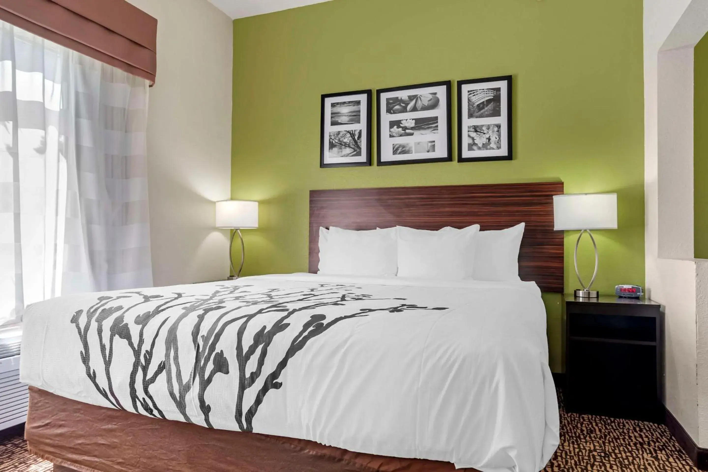 King Room ( 2 Adults) - Non-Smoking in Sleep Inn & Suites Montgomery East I-85 King Room ( 2 Adults) - Non-Smoking in Sleep Inn & Suites Montgomery East I-85