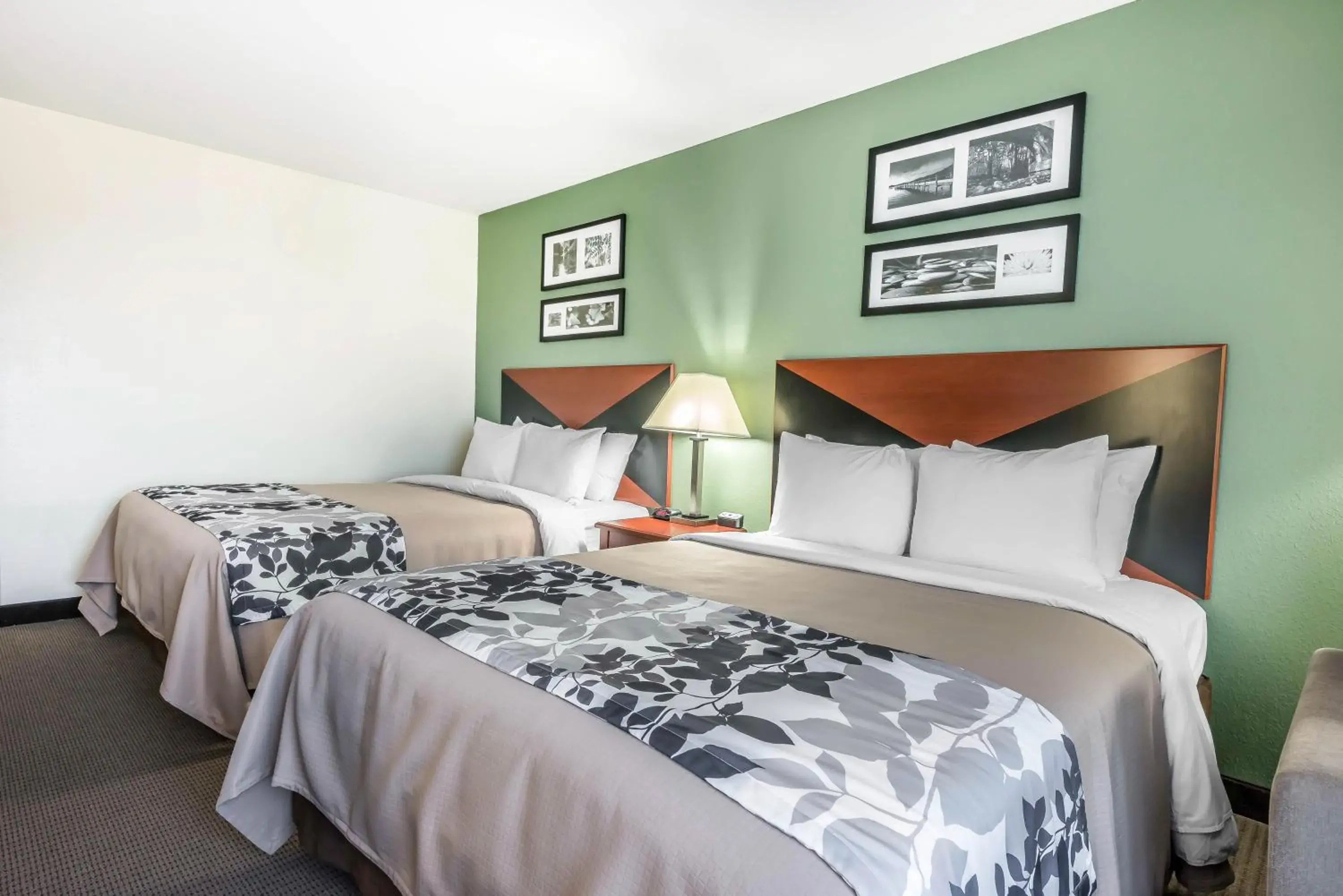 Queen Room with Two Queen Beds - Accessible/Non-Smoking in Sleep Inn & Suites University-Shands Queen Room with Two Queen Beds - Accessible/Non-Smoking in Sleep Inn & Suites University-Shands