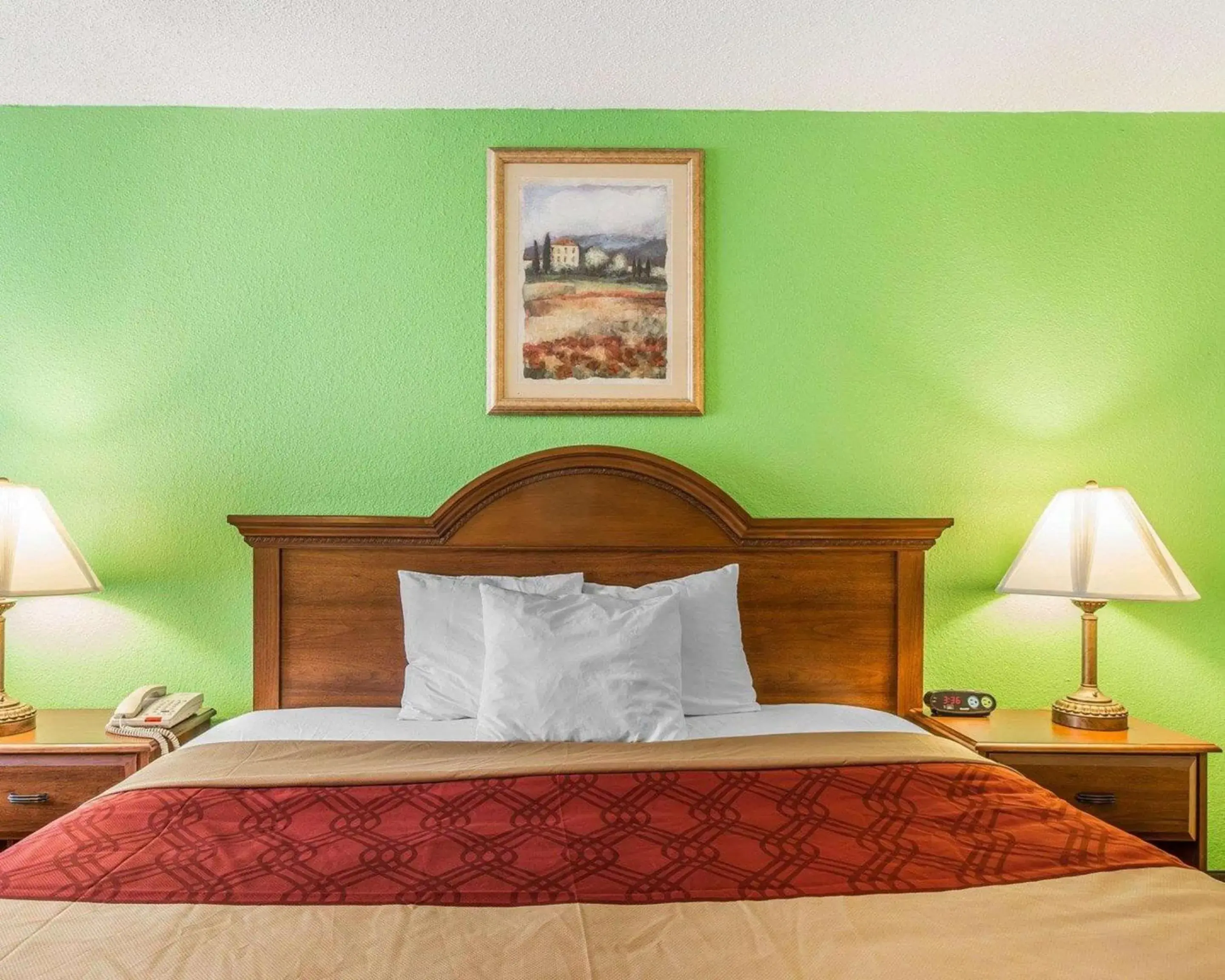 King Room - Non-Smoking in Econo Lodge Douglas King Room - Non-Smoking in Econo Lodge Douglas