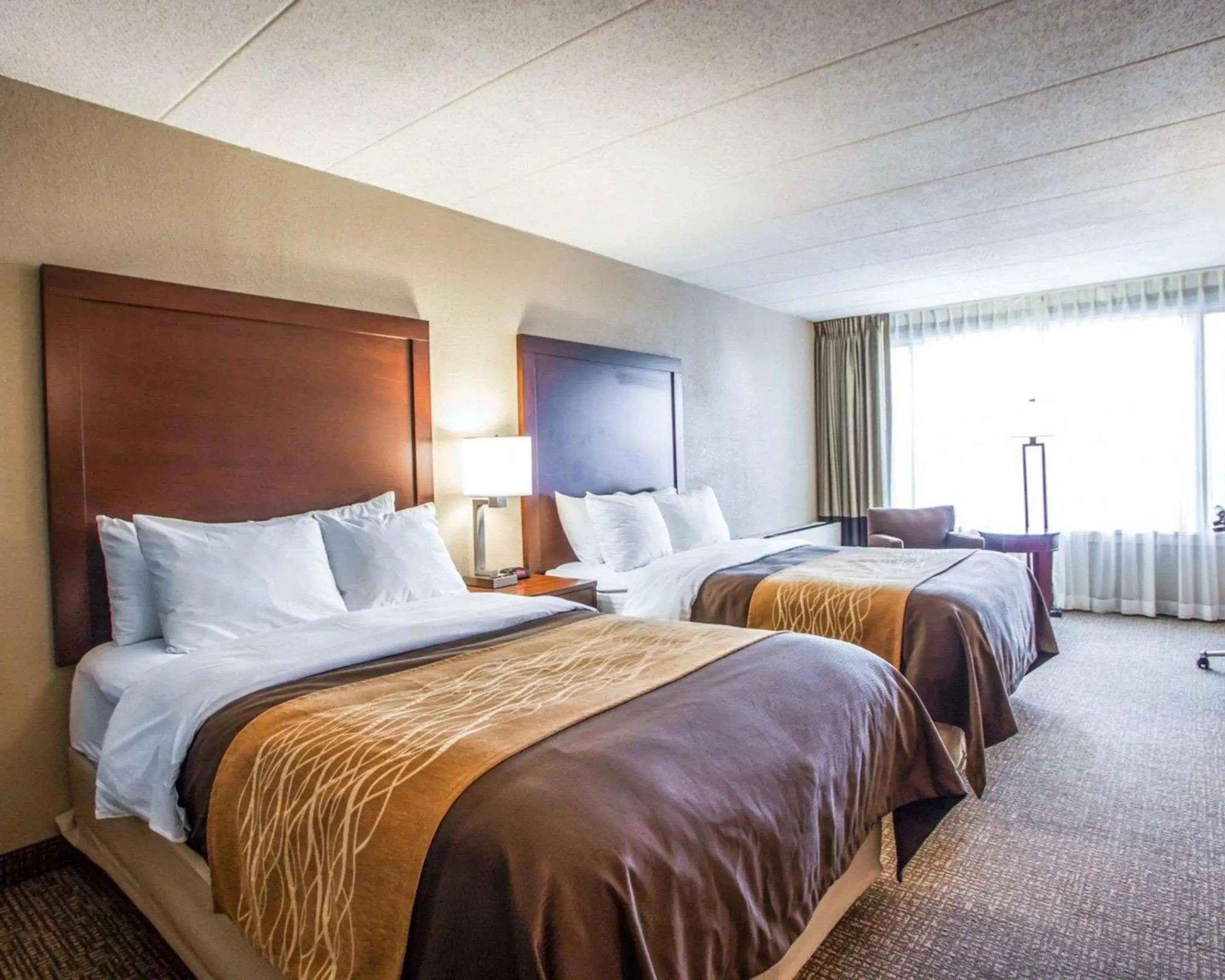 Double Room with Two Double Beds - Non-Smoking in Quality Inn & Suites Orland Park - Chicago Double Room with Two Double Beds - Non-Smoking in Quality Inn & Suites Orland Park - Chicago