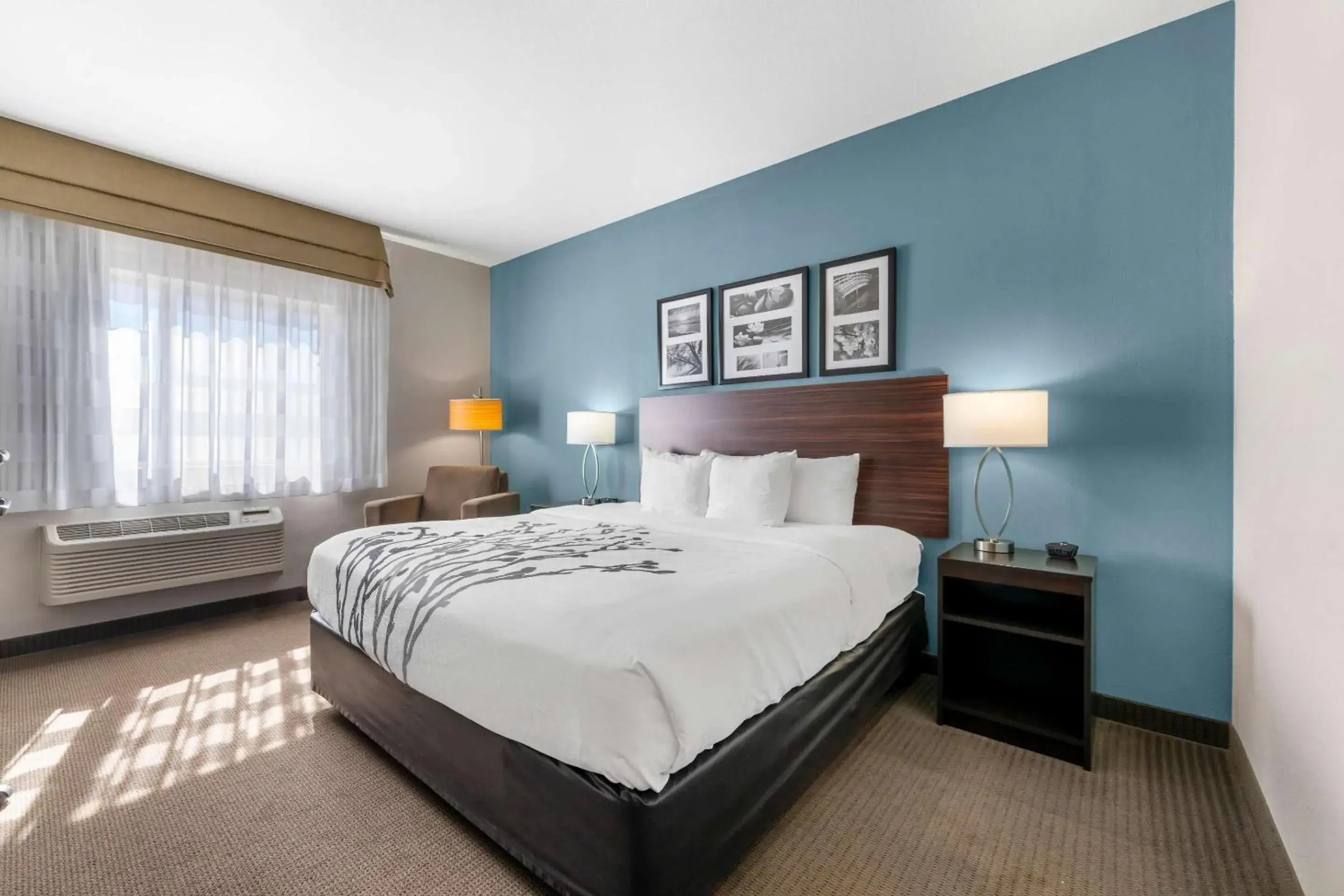 King Room Mobility and Hearing Accessible - Accessible/Non-Smoking in Sleep Inn & Suites Hays I-70 King Room Mobility and Hearing Accessible - Accessible/Non-Smoking in Sleep Inn & Suites Hays I-70