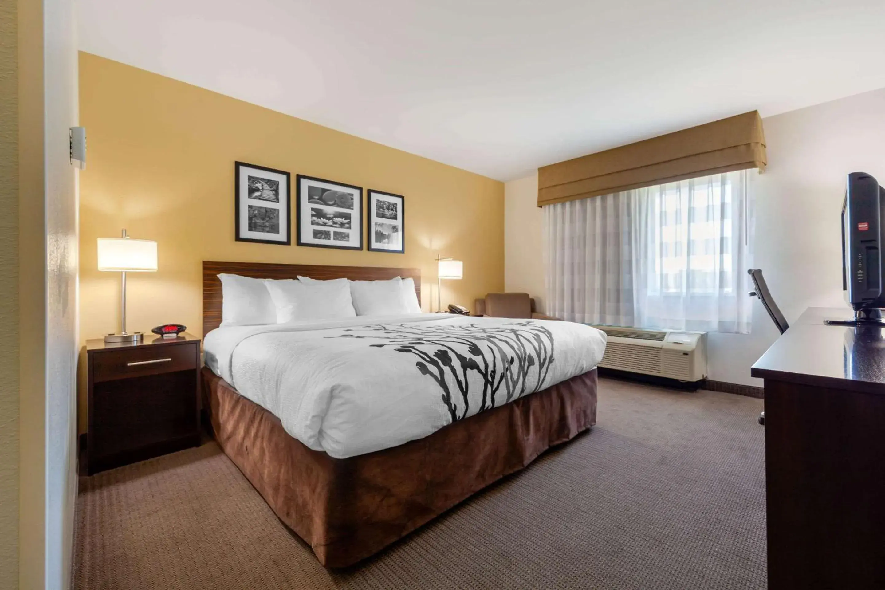 Standard King Room - Non-Smoking in Sleep Inn & Suites Bismarck I-94 Standard King Room - Non-Smoking in Sleep Inn & Suites Bismarck I-94