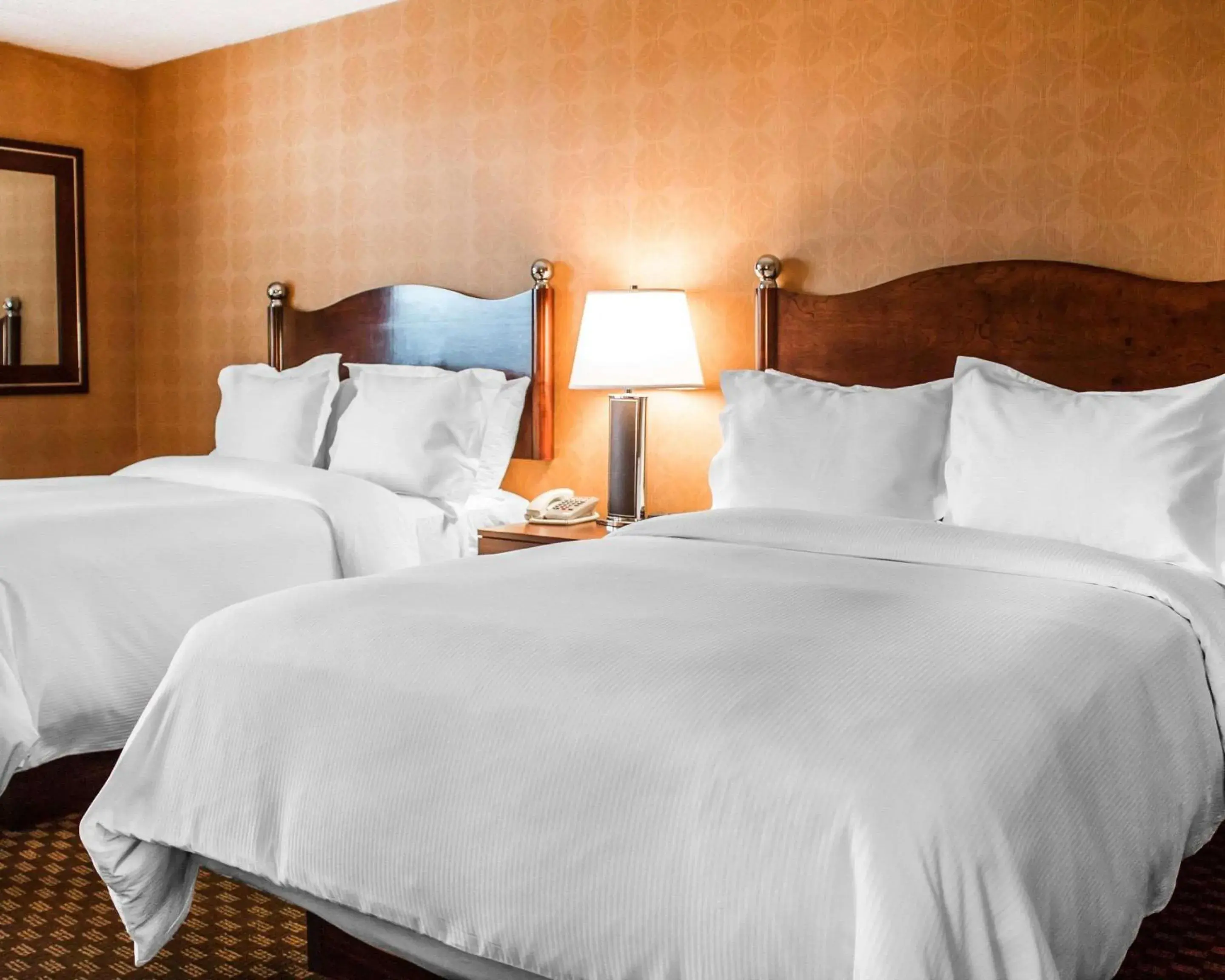 Pet Friendly Double Room - Courtyard View in The Woodlands Inn Pet Friendly Double Room - Courtyard View in The Woodlands Inn