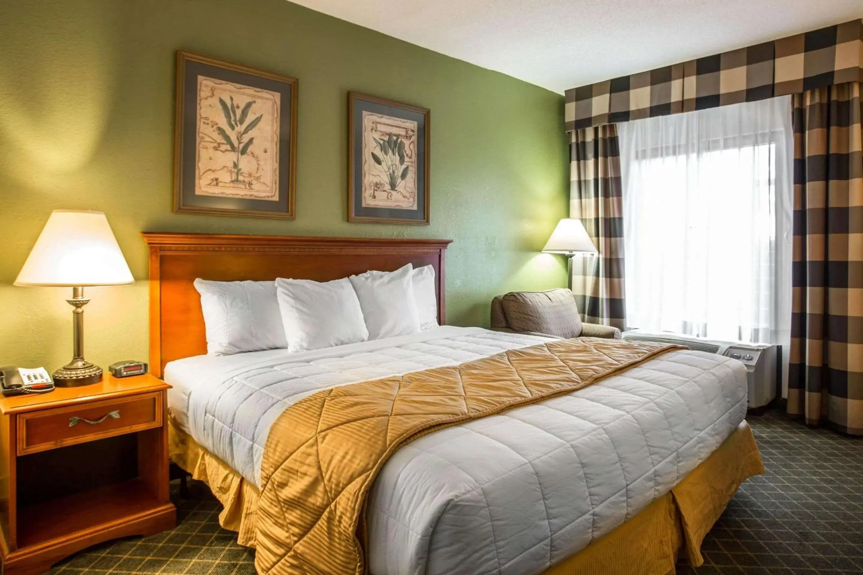 King Room - Accessible/Non-Smoking in Clarion Inn & Suites Aiken South King Room - Accessible/Non-Smoking in Clarion Inn & Suites Aiken South
