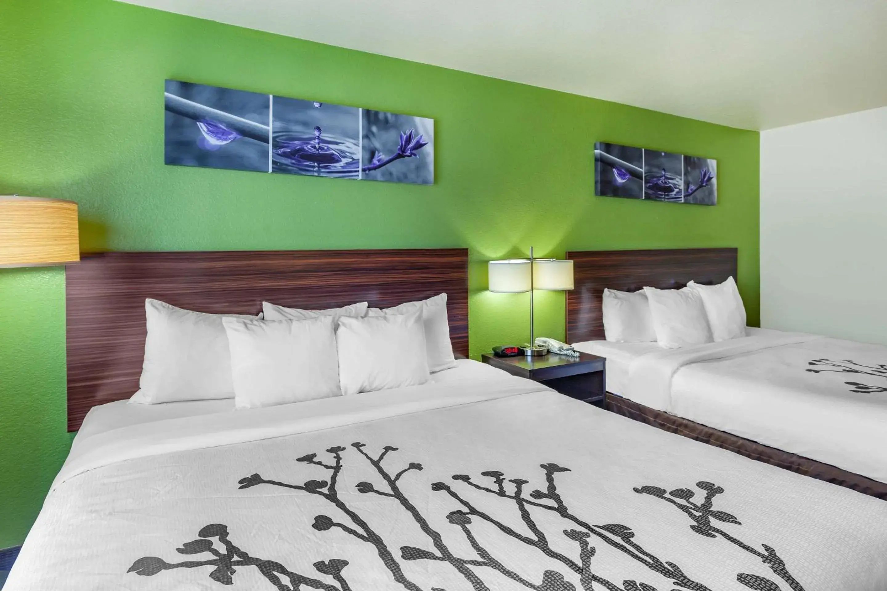 Standard Room with Two King Beds in Sleep Inn & Suites Hewitt - South Waco Standard Room with Two King Beds in Sleep Inn & Suites Hewitt - South Waco