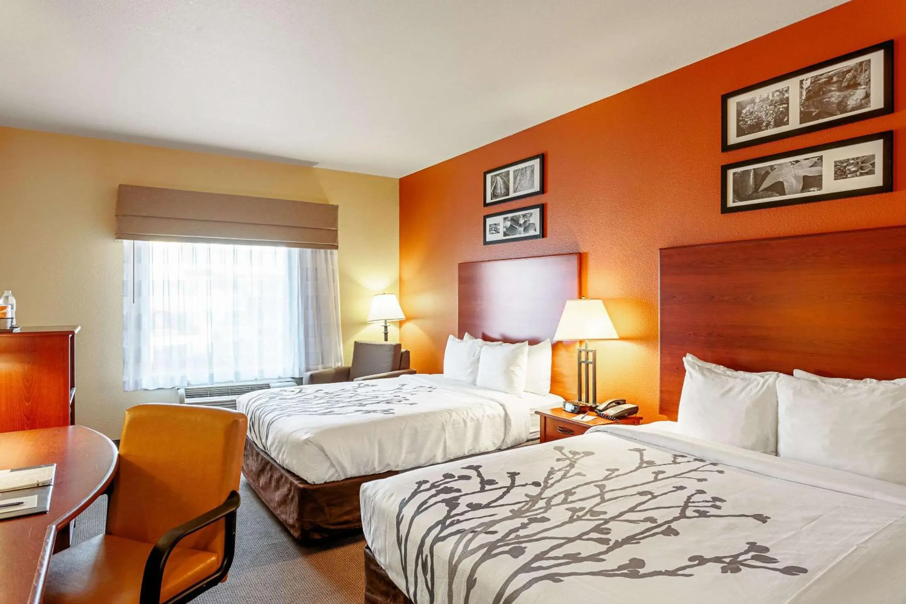 Queen Room with Two Queen Beds - Non-Smoking in Sleep Inn & Suites Tyler South Queen Room with Two Queen Beds - Non-Smoking in Sleep Inn & Suites Tyler South