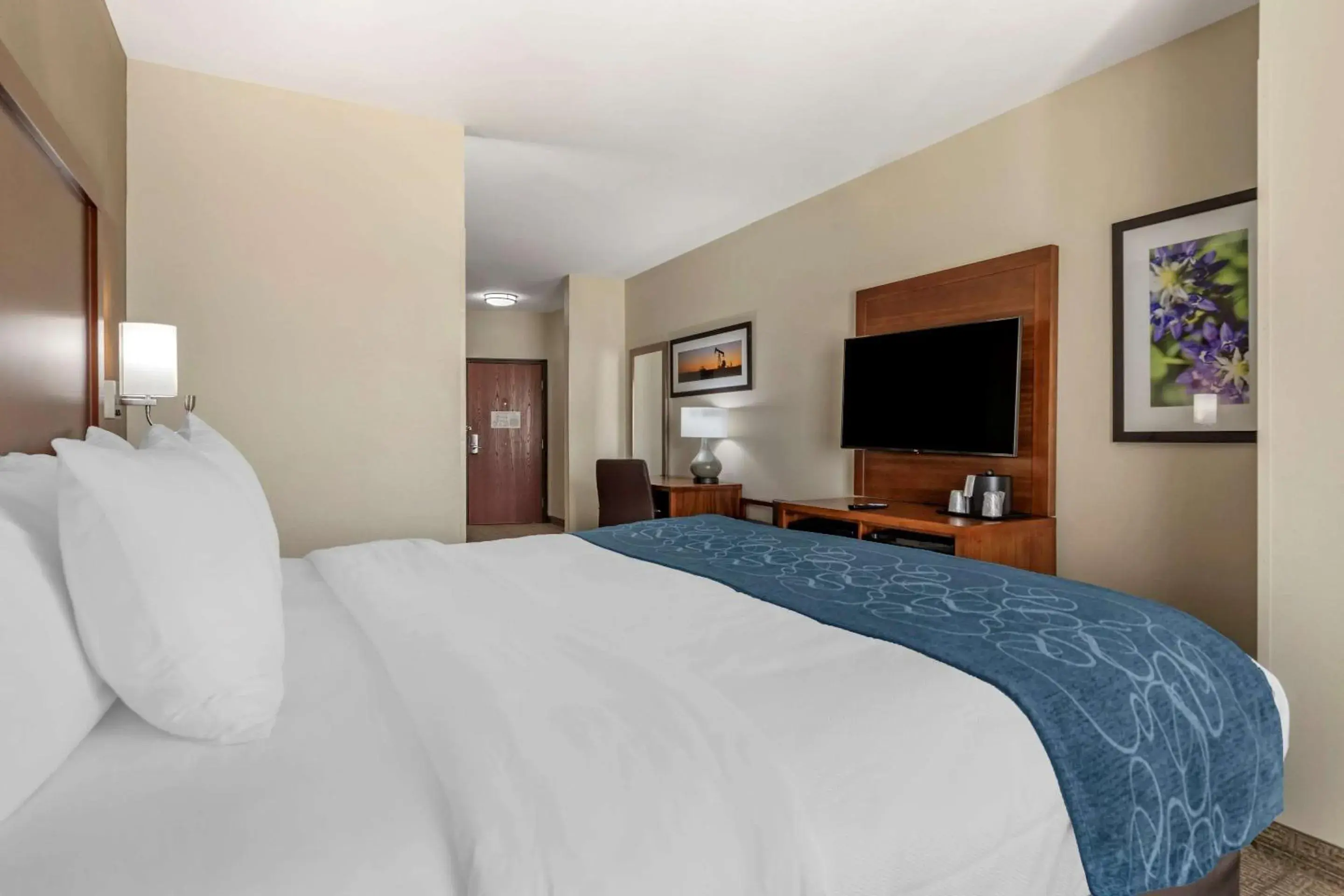 Efficiency King Suite - Accessible/Non-Smoking in Comfort Suites Buda - Austin South Efficiency King Suite - Accessible/Non-Smoking in Comfort Suites Buda - Austin South