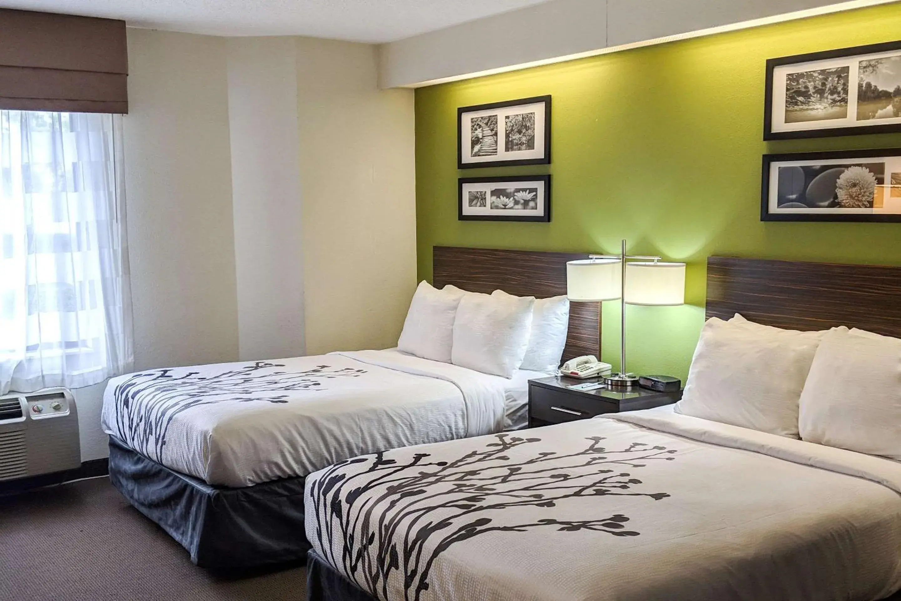 Double Room with Two Double Beds - Accessible/Non-Smoking in Sleep Inn Woodbridge - Potomac Mills Double Room with Two Double Beds - Accessible/Non-Smoking in Sleep Inn Woodbridge - Potomac Mills