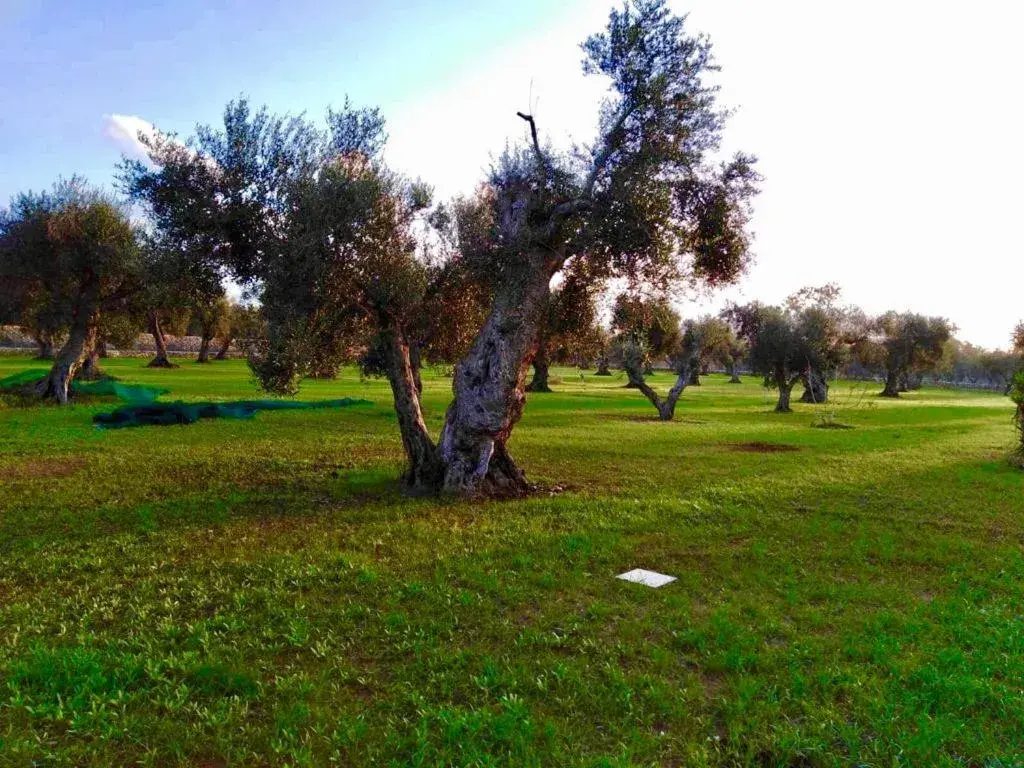 Triple Room with Private Bathroom - single occupancy in B&B Michelangelo Triple Room with Private Bathroom - single occupancy in B&B Michelangelo