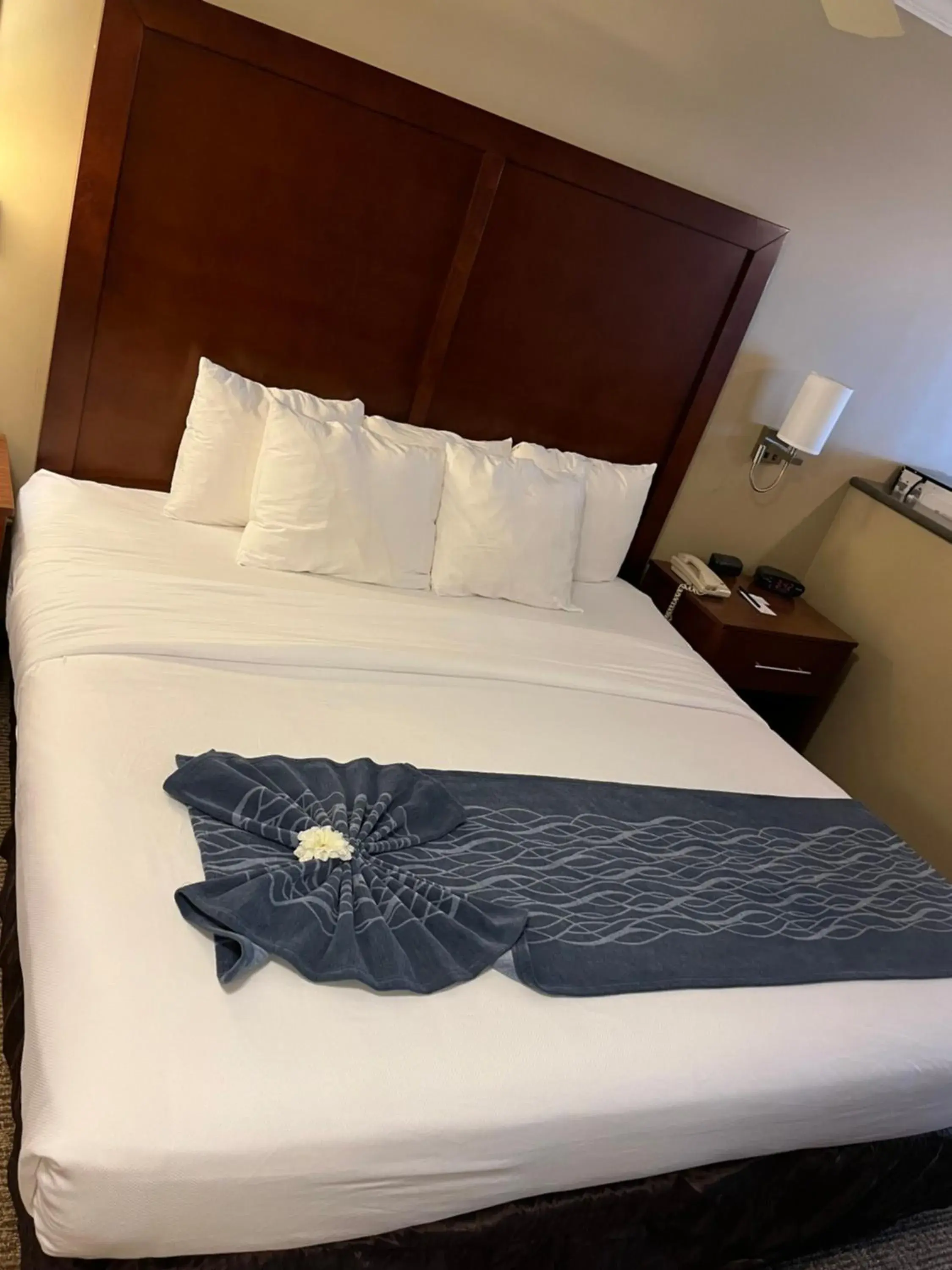 King Suite - Non Smoking in Comfort Inn & Suites Ocean Shores King Suite - Non Smoking in Comfort Inn & Suites Ocean Shores