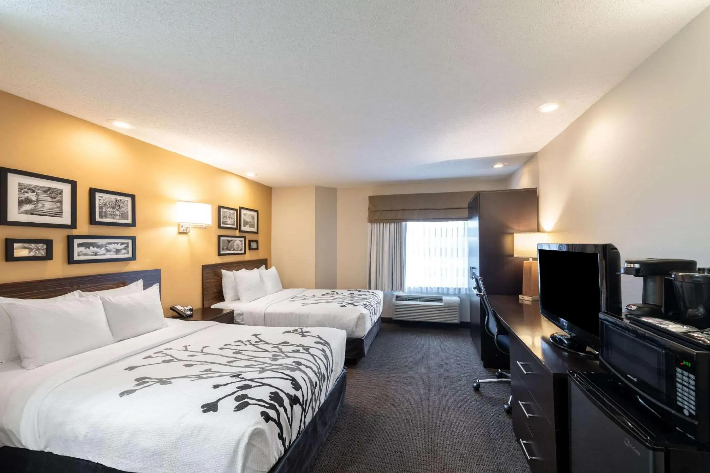 Double Room with Two Double Beds - Non-Smoking in Sleep Inn & Suites Green Bay South Double Room with Two Double Beds - Non-Smoking in Sleep Inn & Suites Green Bay South