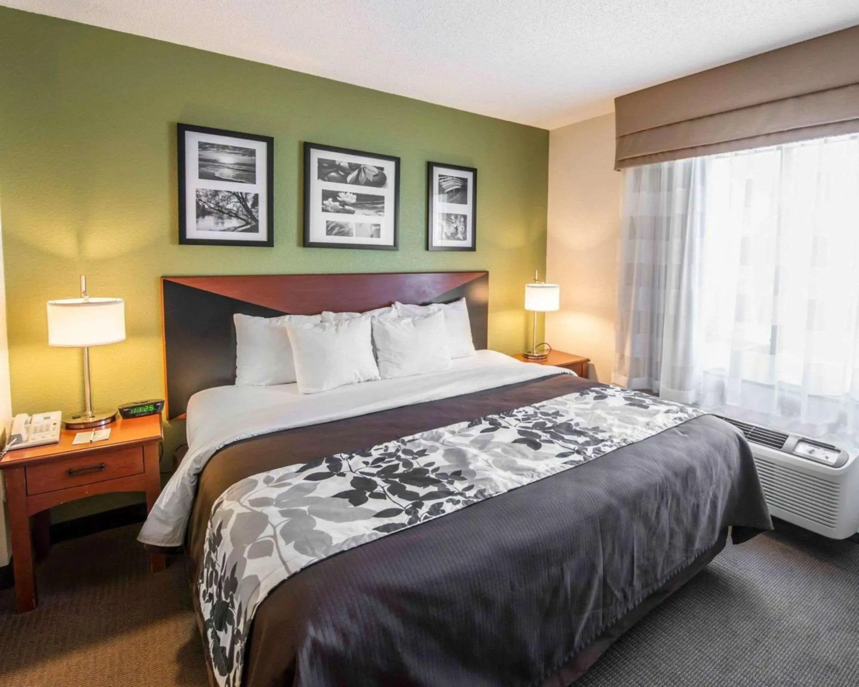 King Suite - Non-Smoking in Sleep Inn & Suites Princeton I-77 King Suite - Non-Smoking in Sleep Inn & Suites Princeton I-77