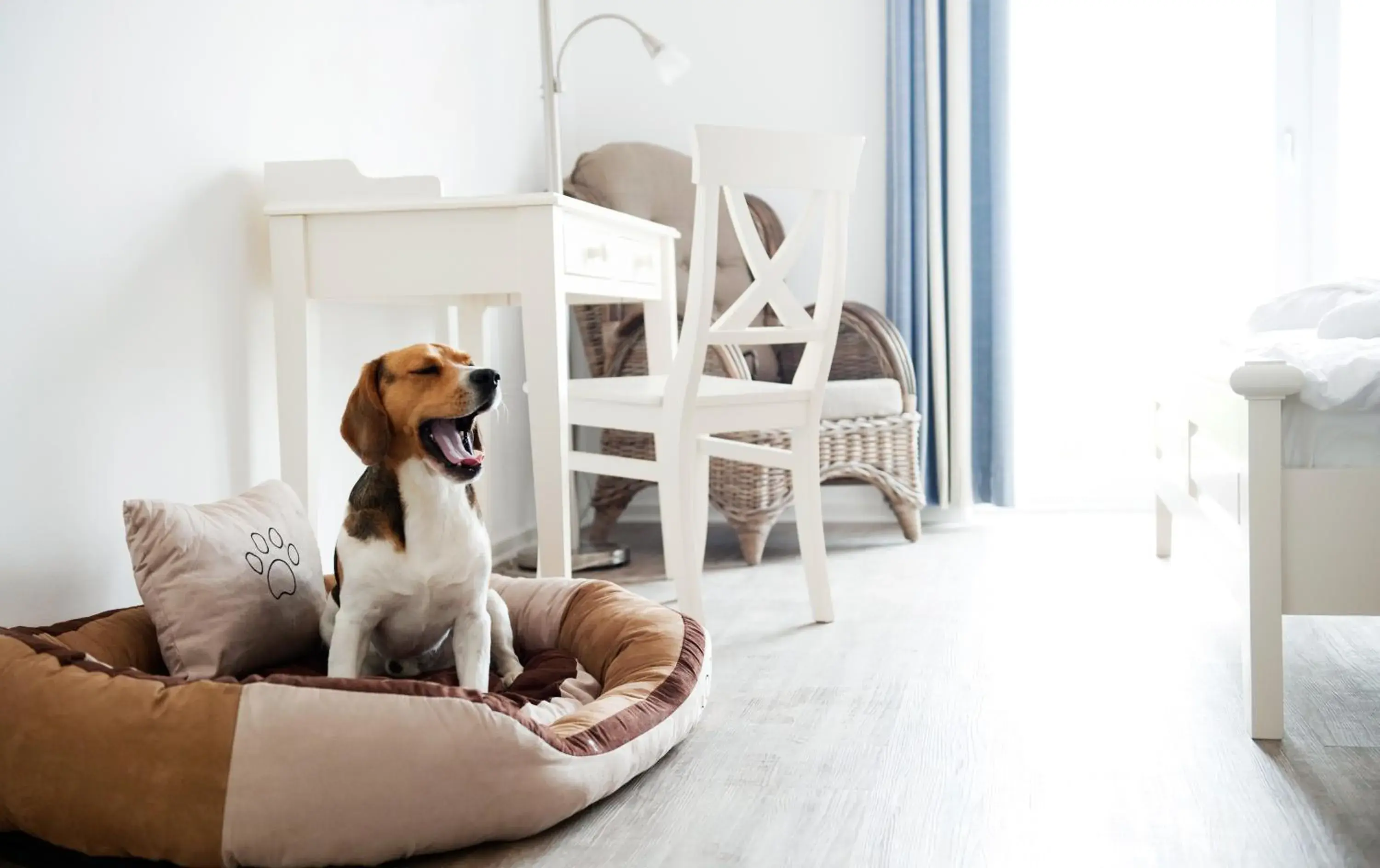 Hotel, Restaurant, Café Pharisäerhof - Nordseeurlaub mit Hund Hotel, Restaurant, Café Pharisäerhof - Nordseeurlaub mit Hund