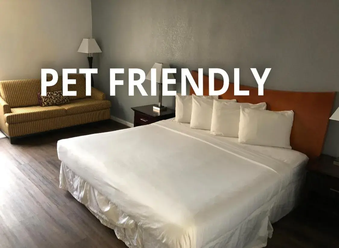 Single Room in The Grand Hotel Spindletop Single Room in The Grand Hotel Spindletop