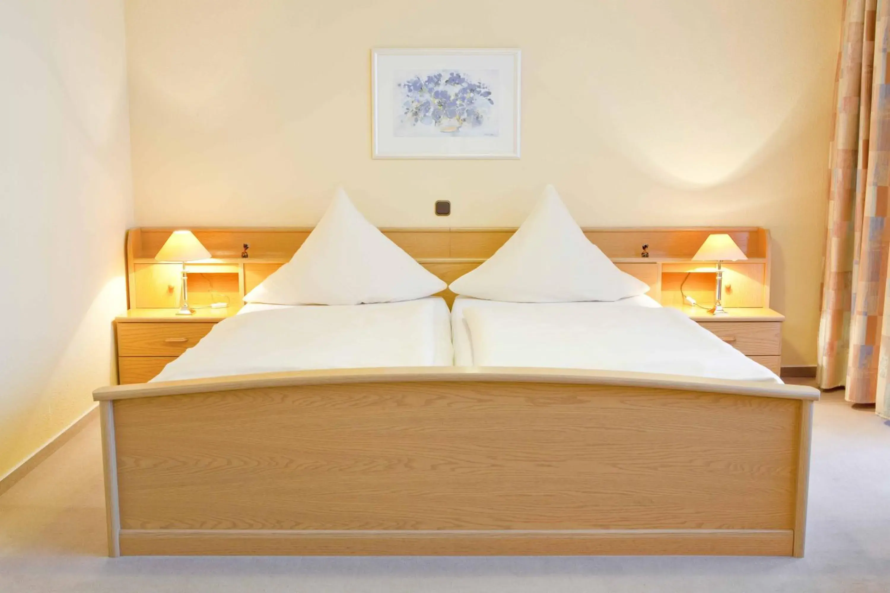 Double Room in Hotel Birkenstern Double Room in Hotel Birkenstern