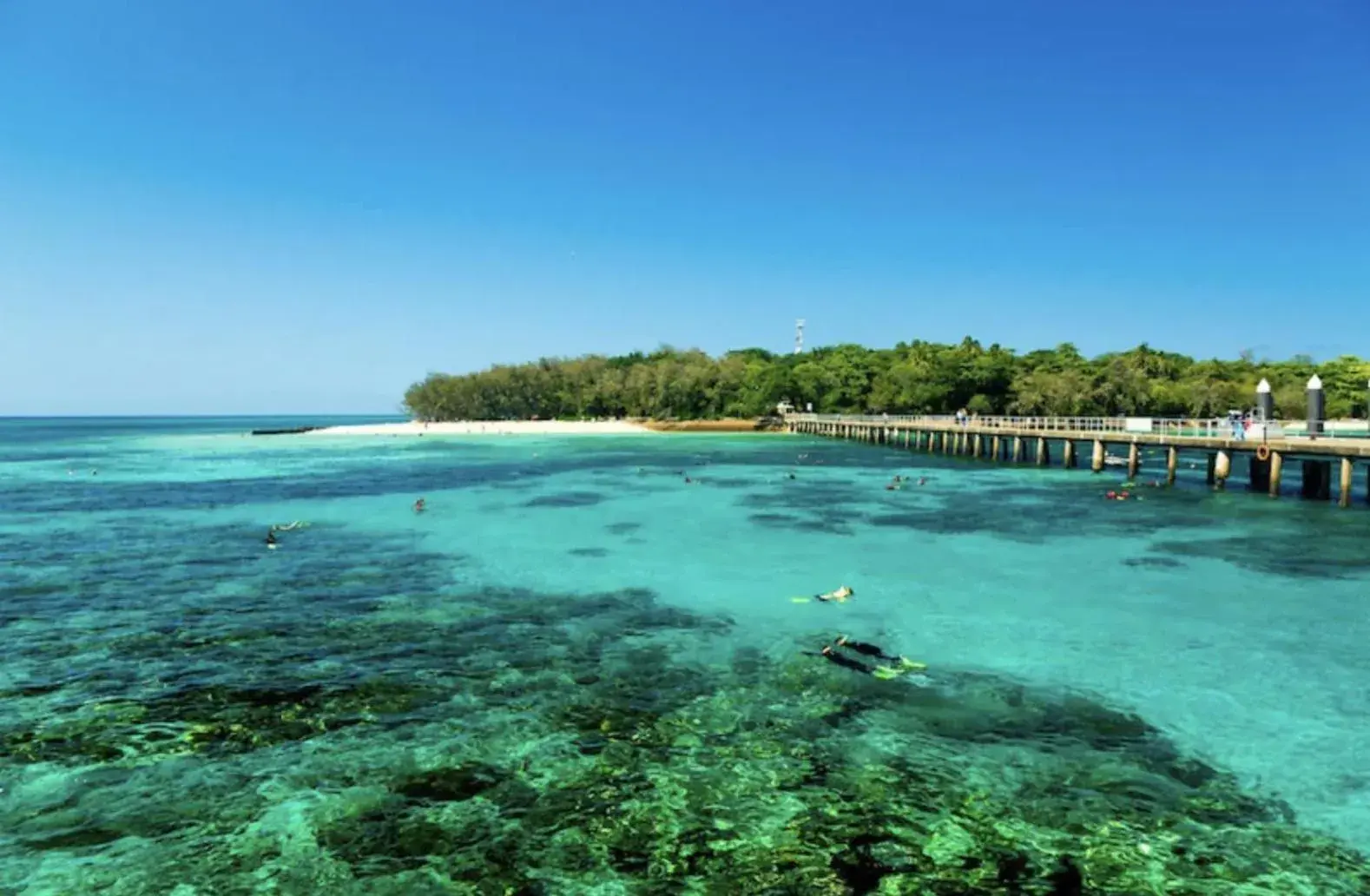 Premium King Room with shared bathroom in Little Drifter Cairns Premium King Room with shared bathroom in Little Drifter Cairns