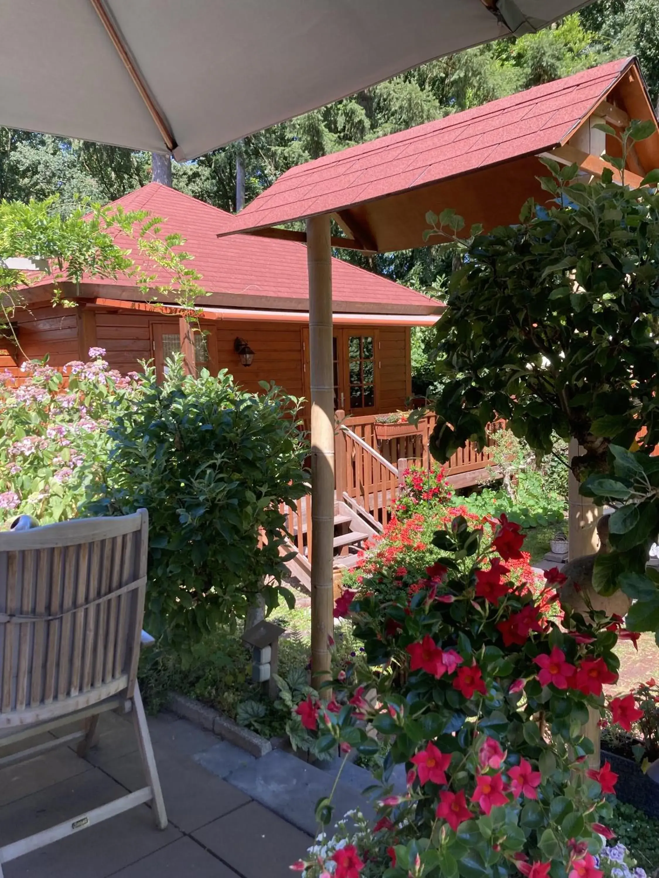 King Studio with Sofa Bed in B&B Porcini King Studio with Sofa Bed in B&B Porcini