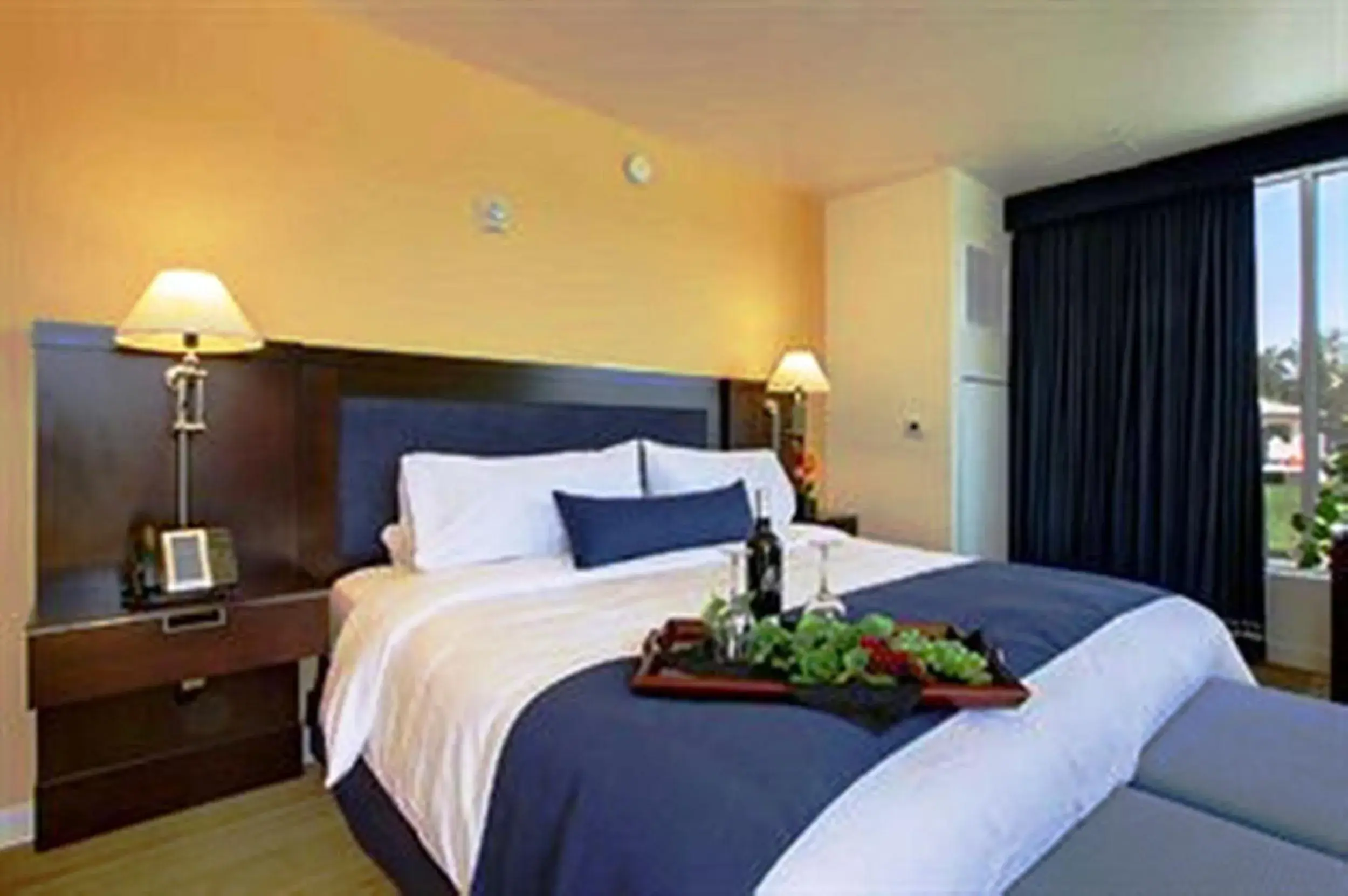 Presidential Suite in University Plaza Waterfront Hotel Presidential Suite in University Plaza Waterfront Hotel