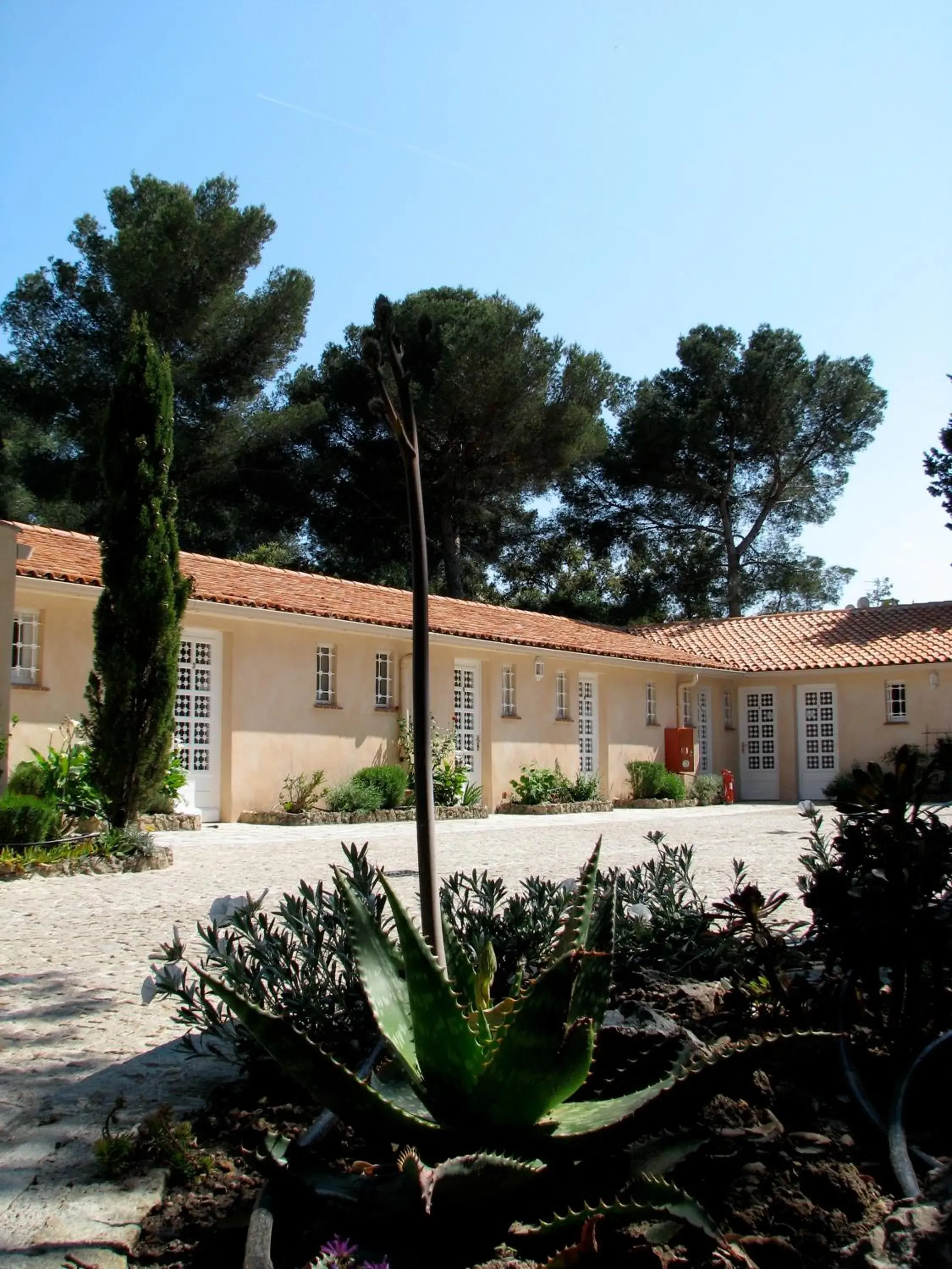 Athéna MOTEL Athéna MOTEL