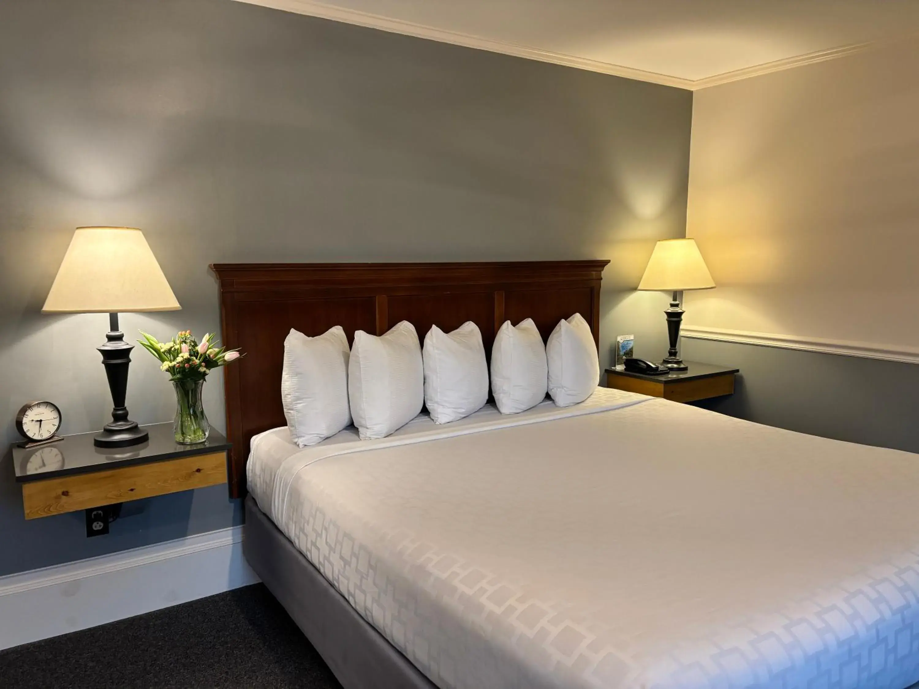 Standard King Room - single occupancy in SHERWOOD MOTEL Standard King Room - single occupancy in SHERWOOD MOTEL