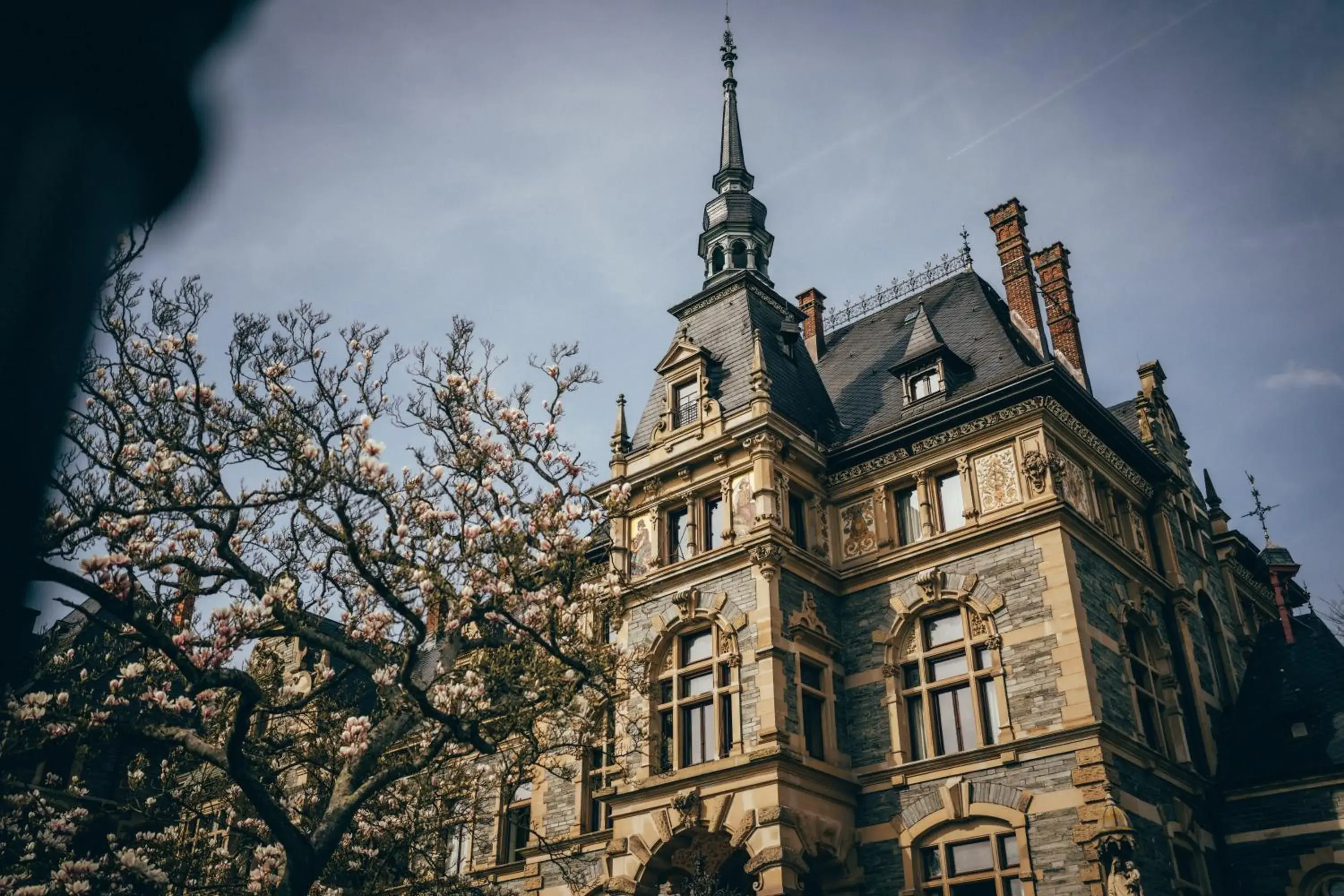 Schloss Lieser, Autograph Collection Schloss Lieser, Autograph Collection