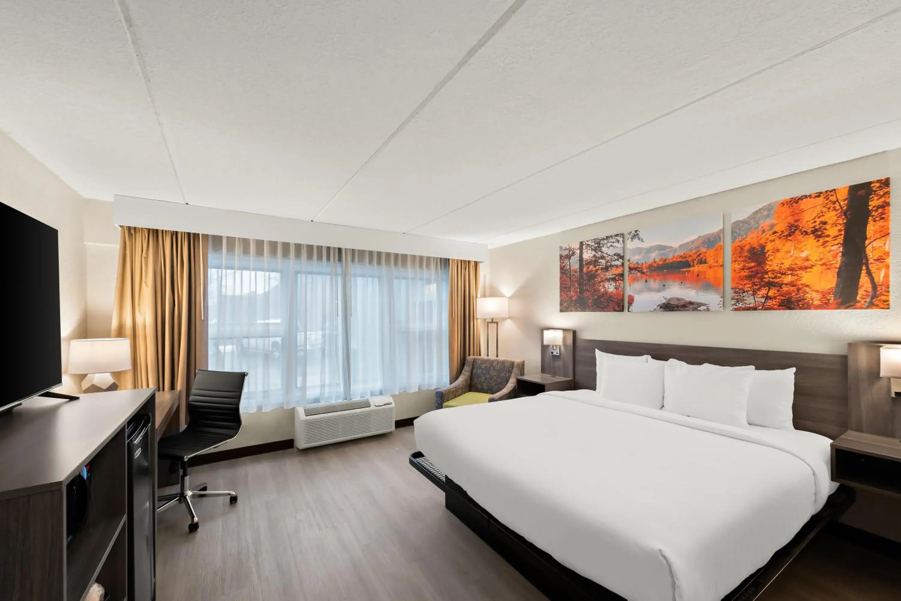 King Room - Pet Friendly/Non-Smoking in Clarion Pointe Rhinelander Downtown King Room - Pet Friendly/Non-Smoking in Clarion Pointe Rhinelander Downtown