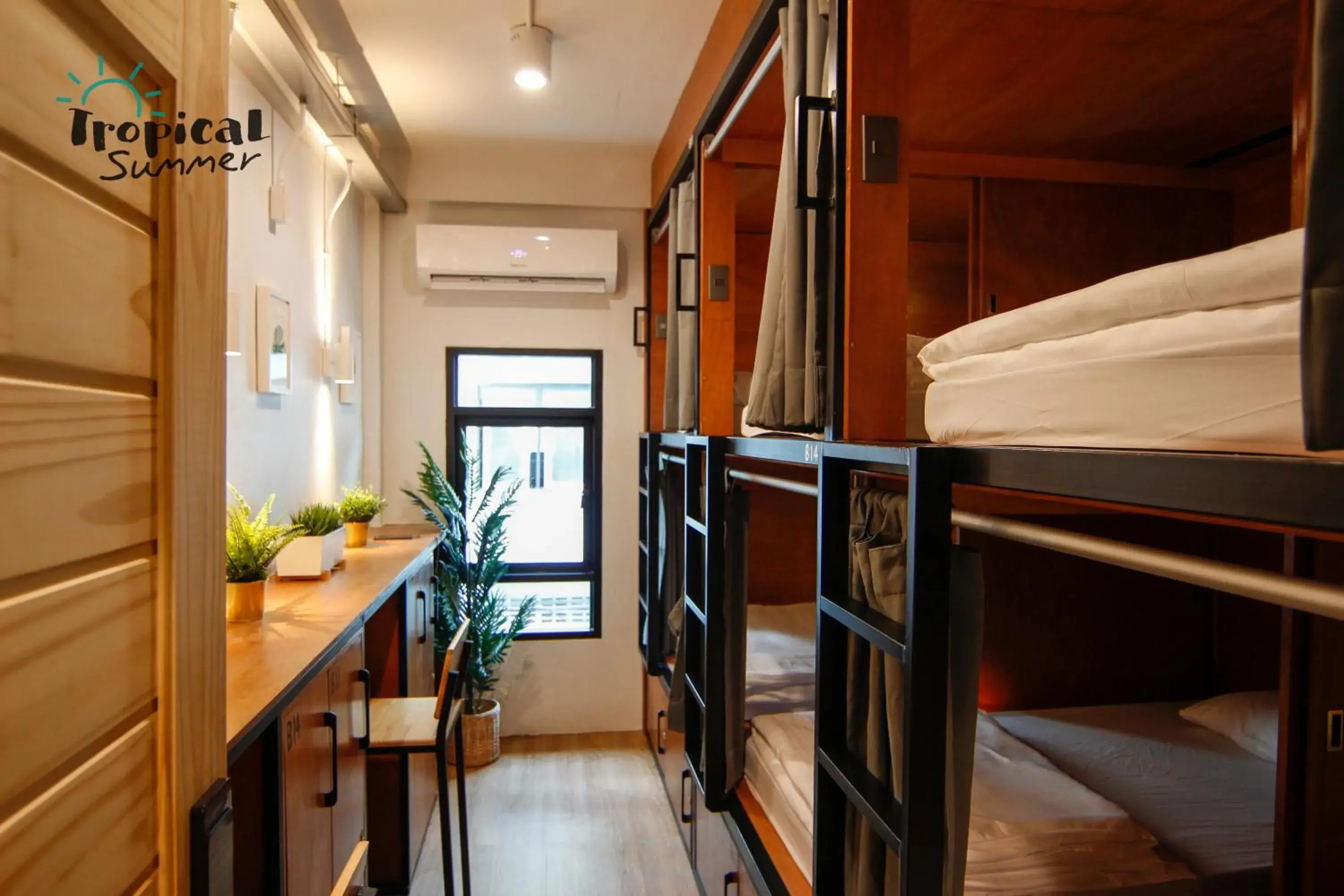 Single Bed in Mixed Dormitory Room in Tropical Summer Hostel Single Bed in Mixed Dormitory Room in Tropical Summer Hostel