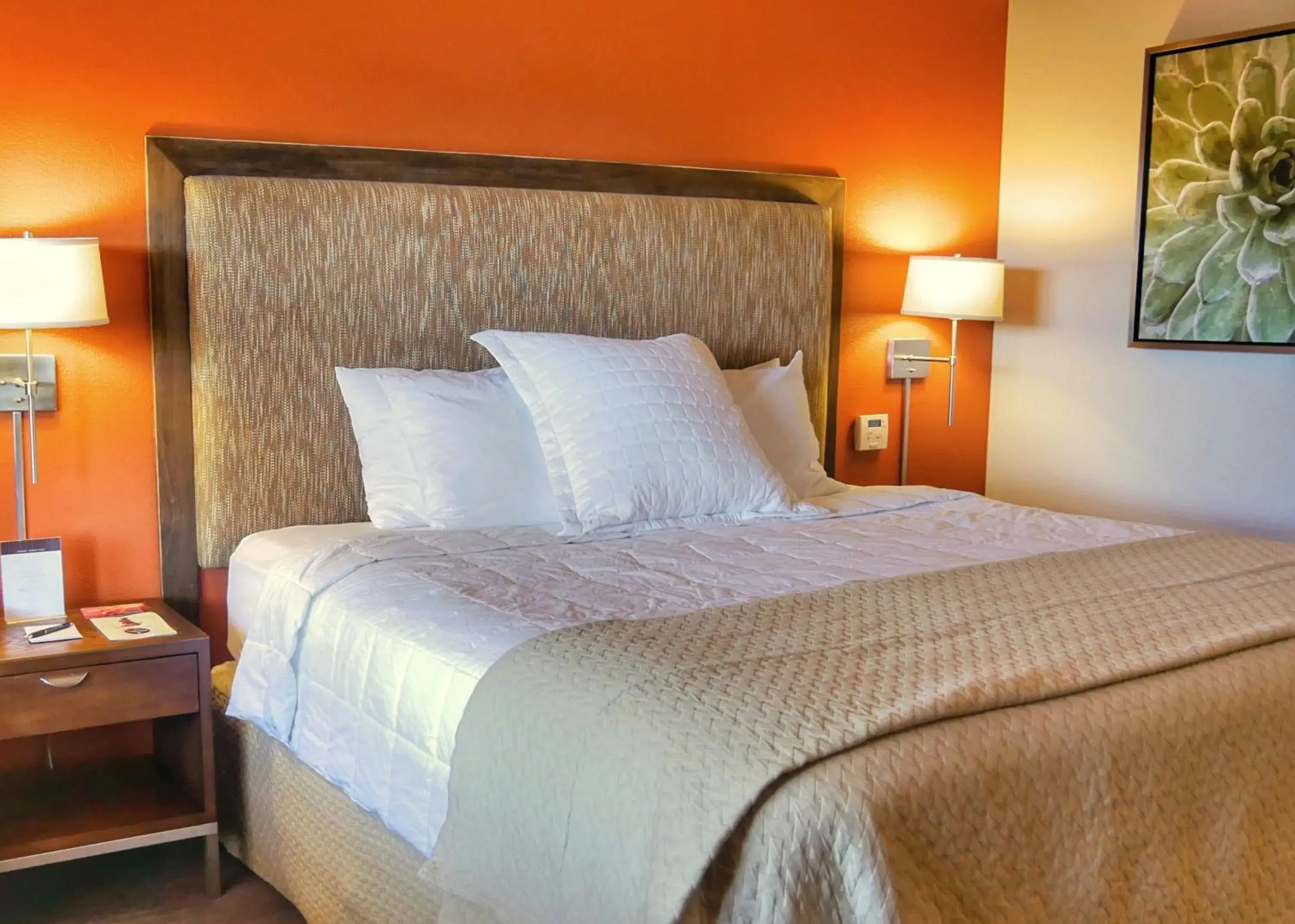 Desert Oasis King in Red Mountain Resort Desert Oasis King in Red Mountain Resort