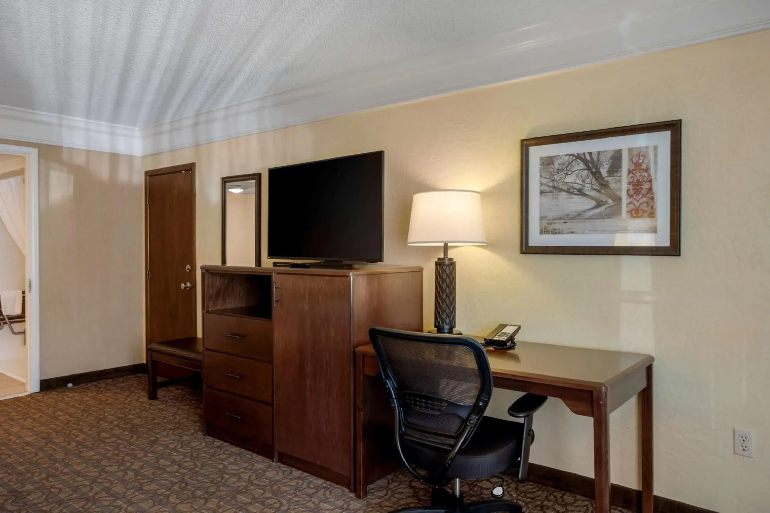 King Room with Bath Tub - Disability Access Room/Non-Smoking in Best Western Inn of the Ozarks King Room with Bath Tub - Disability Access Room/Non-Smoking in Best Western Inn of the Ozarks