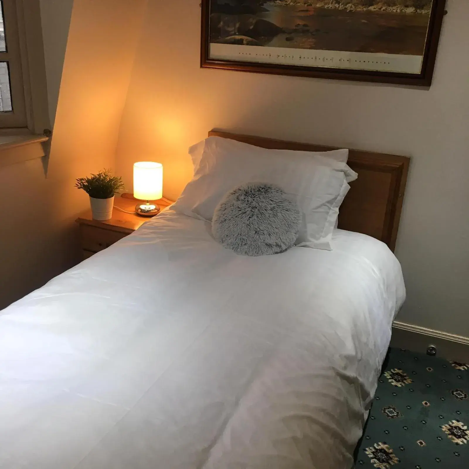 Single Room with Private Bathroom in Terra Nova Hotel Single Room with Private Bathroom in Terra Nova Hotel