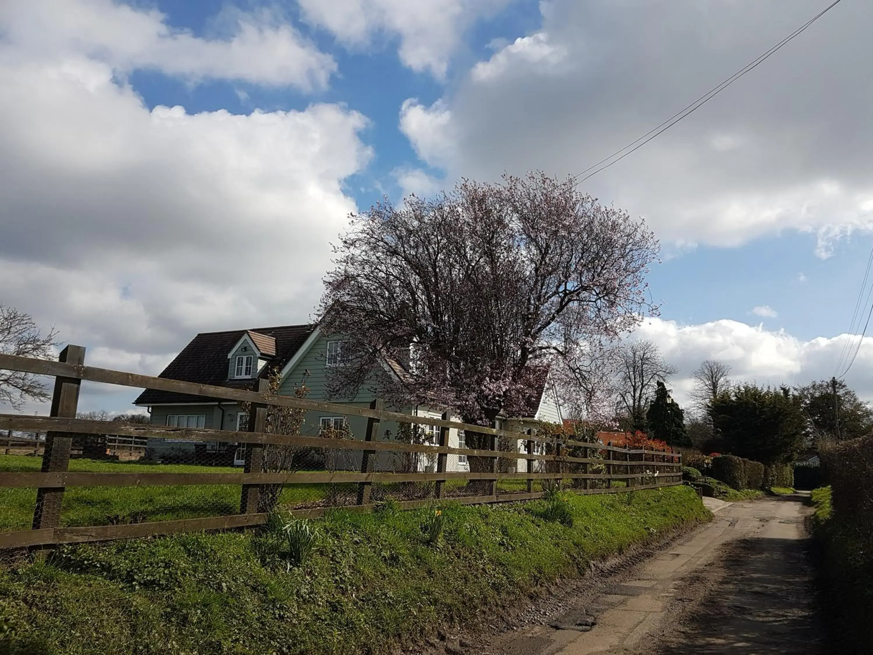 Double or Twin Room with Private Bathroom in Spring Paddocks B&B Double or Twin Room with Private Bathroom in Spring Paddocks B&B