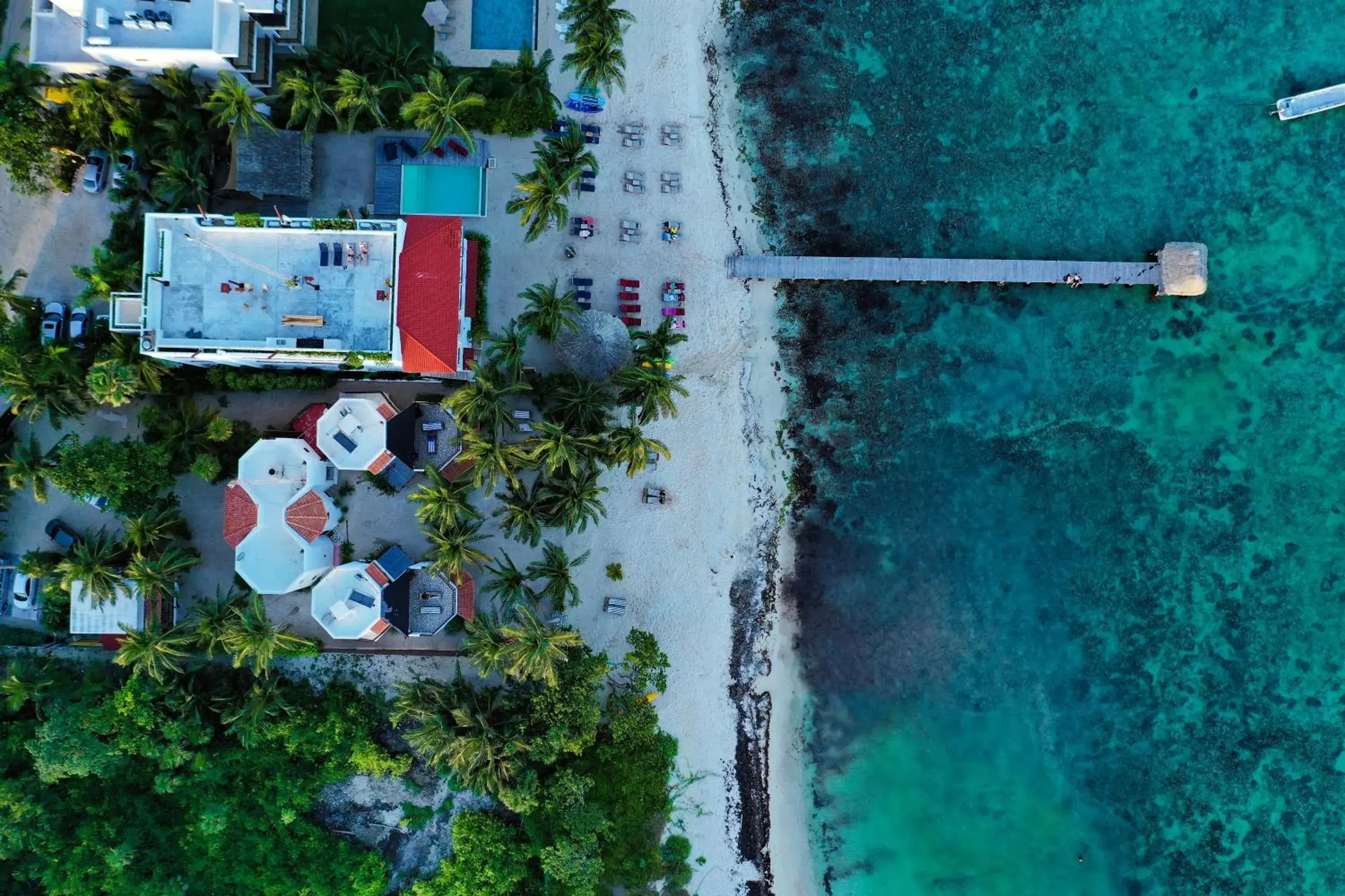 Double Room with Sea View in Casa Colibrí Tankah Double Room with Sea View in Casa Colibrí Tankah