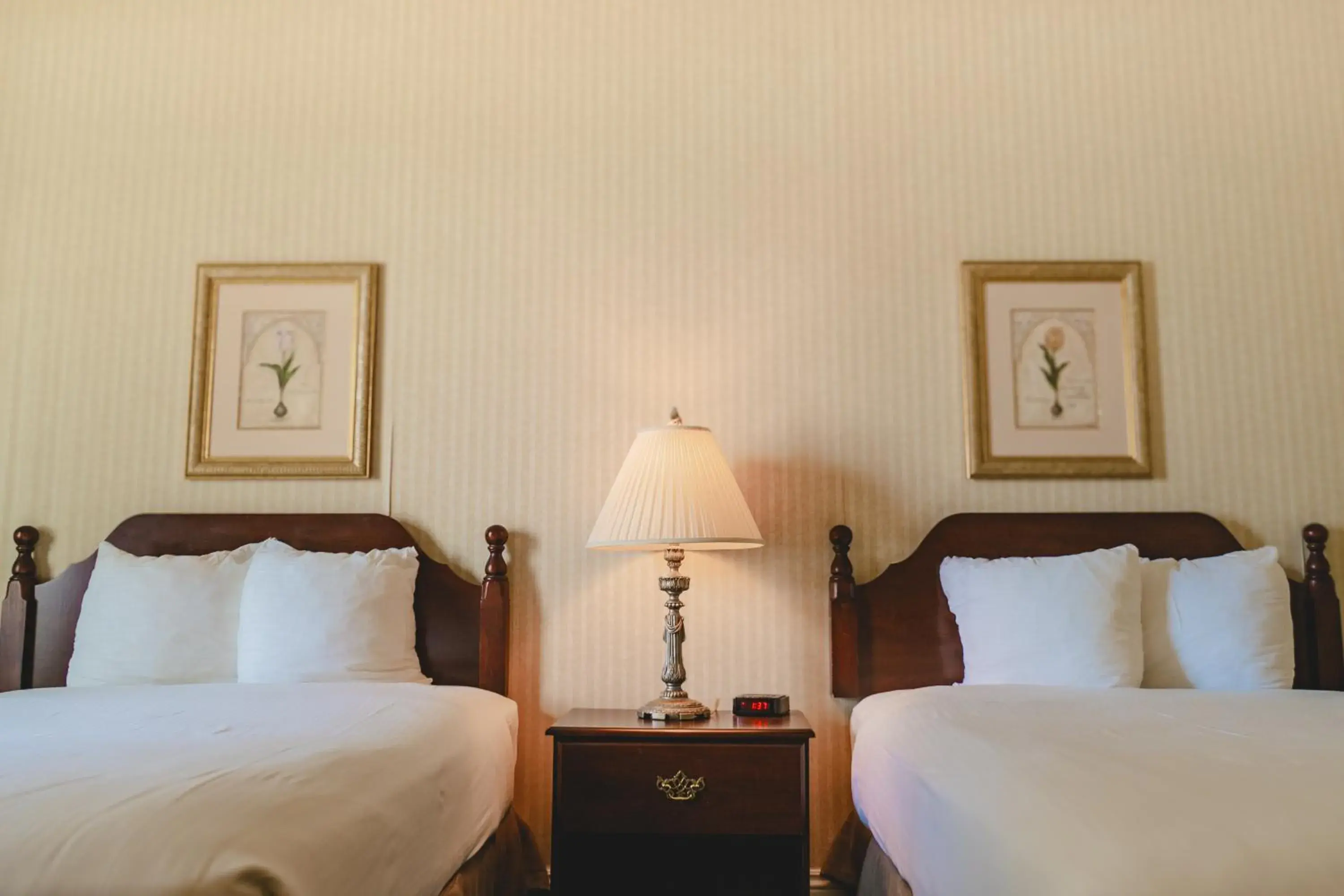 Standard Double Room with Two Double Beds in The Casablanca Hotel Standard Double Room with Two Double Beds in The Casablanca Hotel