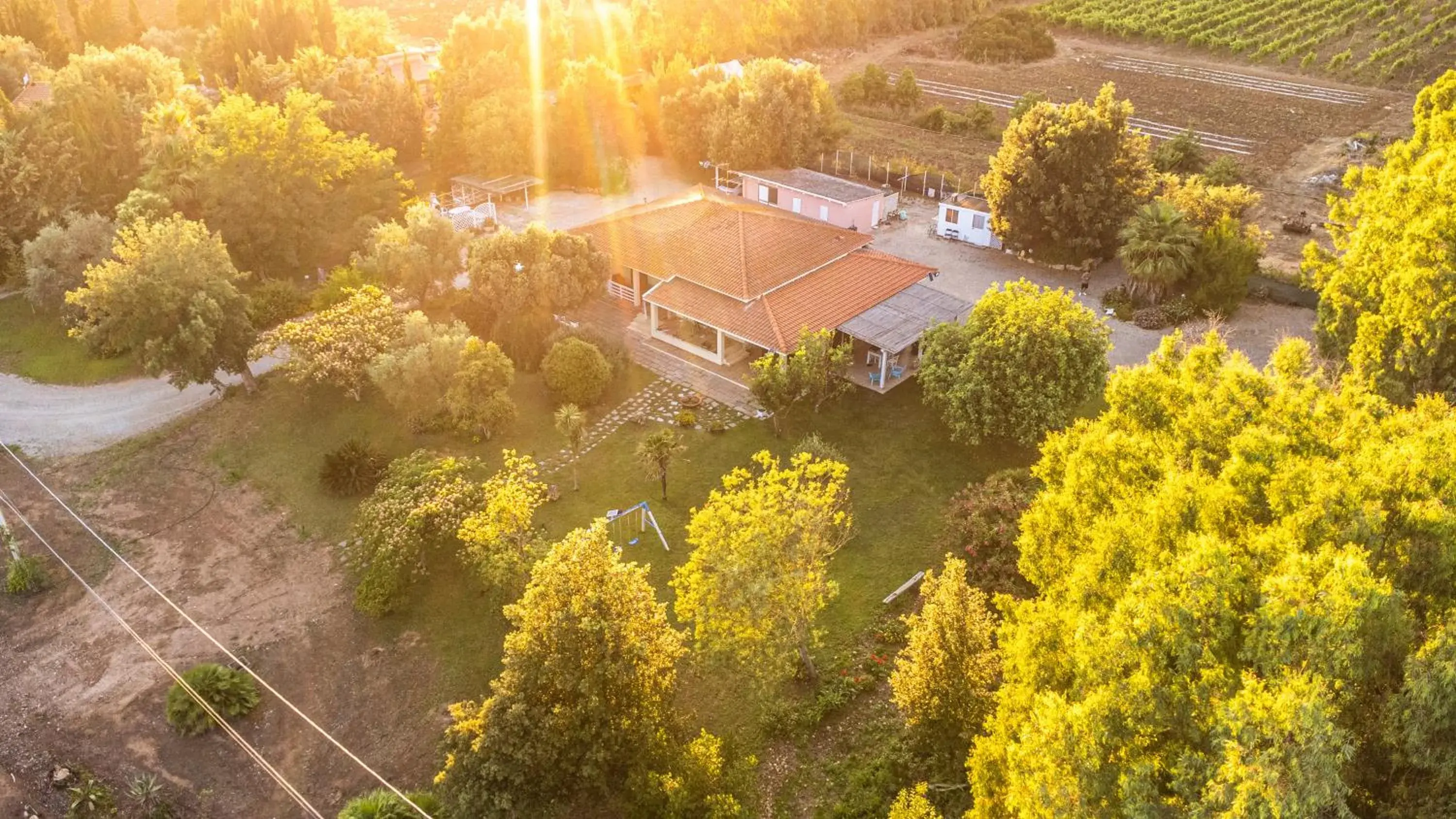 THE VINEYARDS THE VINEYARDS