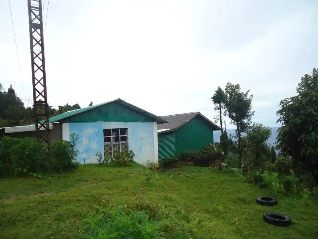 Vamoose Kunga Delek Vamoose Kunga Delek