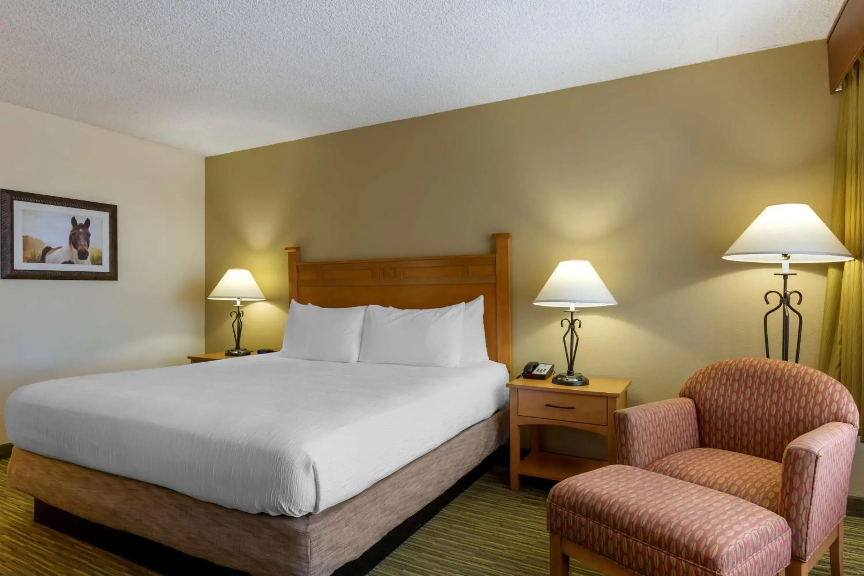 King Room with Bath Tub - Disability Access/Non-Smoking in Best Western Paint Pony Lodge King Room with Bath Tub - Disability Access/Non-Smoking in Best Western Paint Pony Lodge