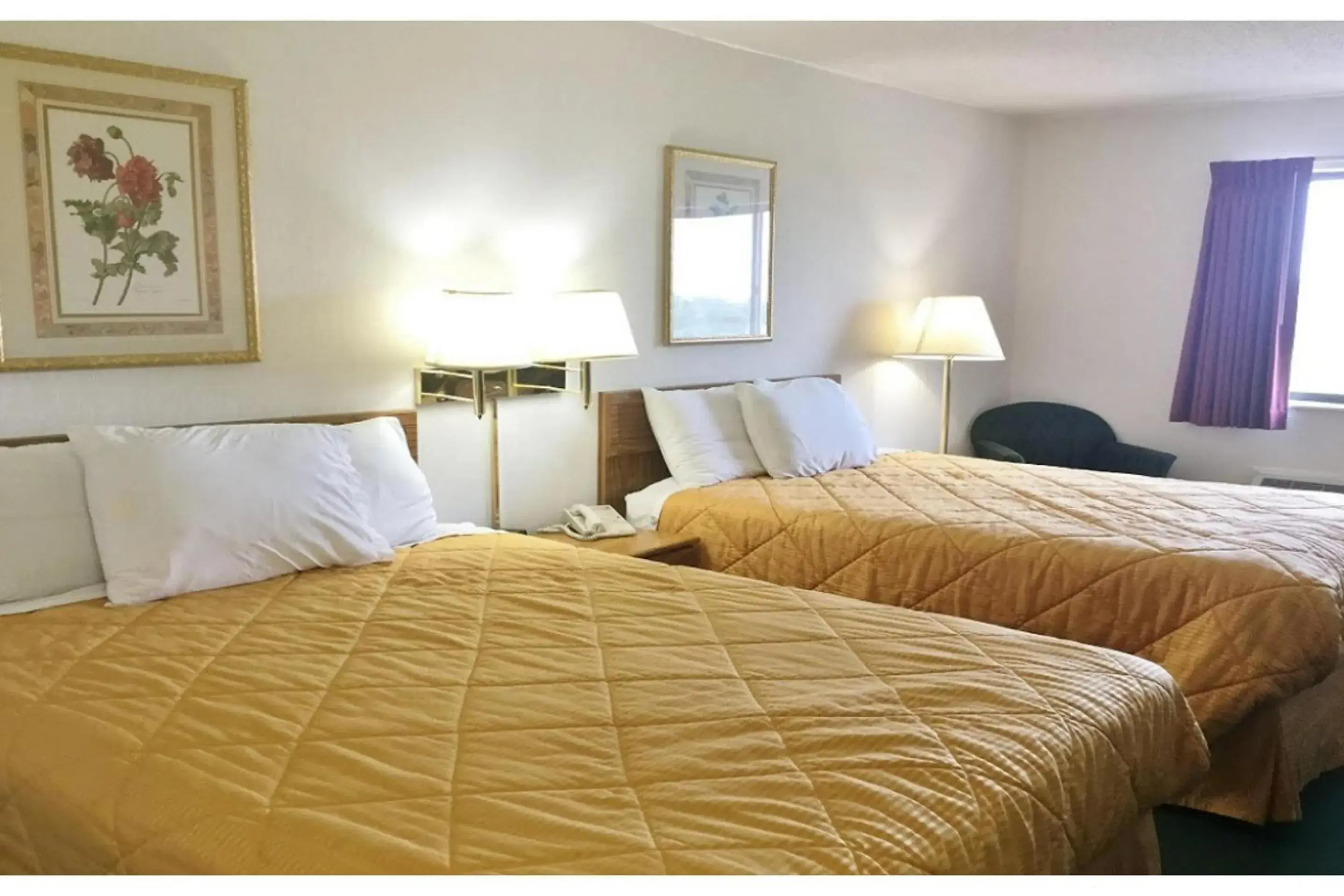 2 Queen Bed Smoking in Capital O Amerihost Inn and Suites Mexico Hwy 54 MO 2 Queen Bed Smoking in Capital O Amerihost Inn and Suites Mexico Hwy 54 MO