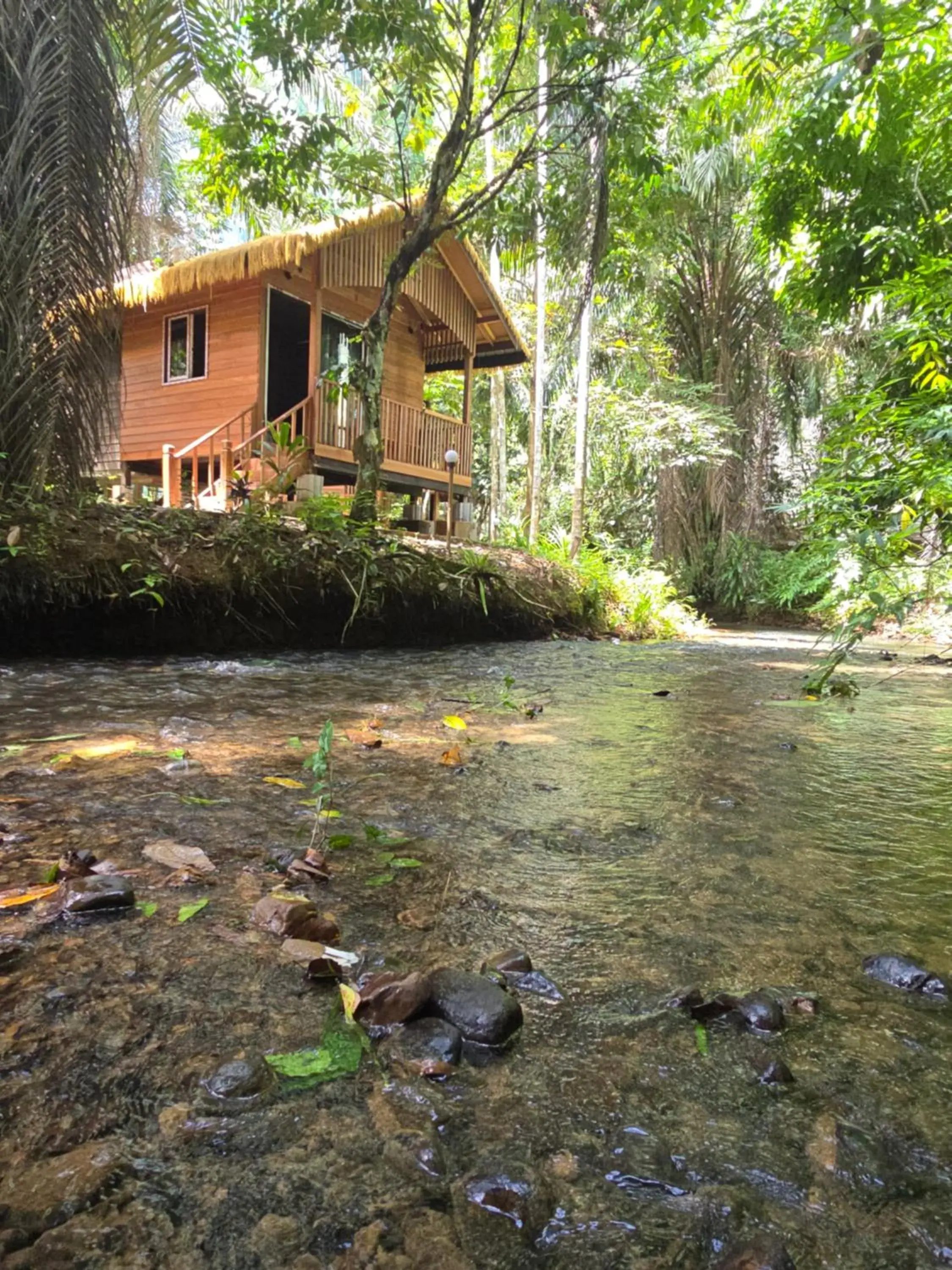 Bungalow - Water Front in Khao Sok Silver Cliff Resort Bungalow - Water Front in Khao Sok Silver Cliff Resort