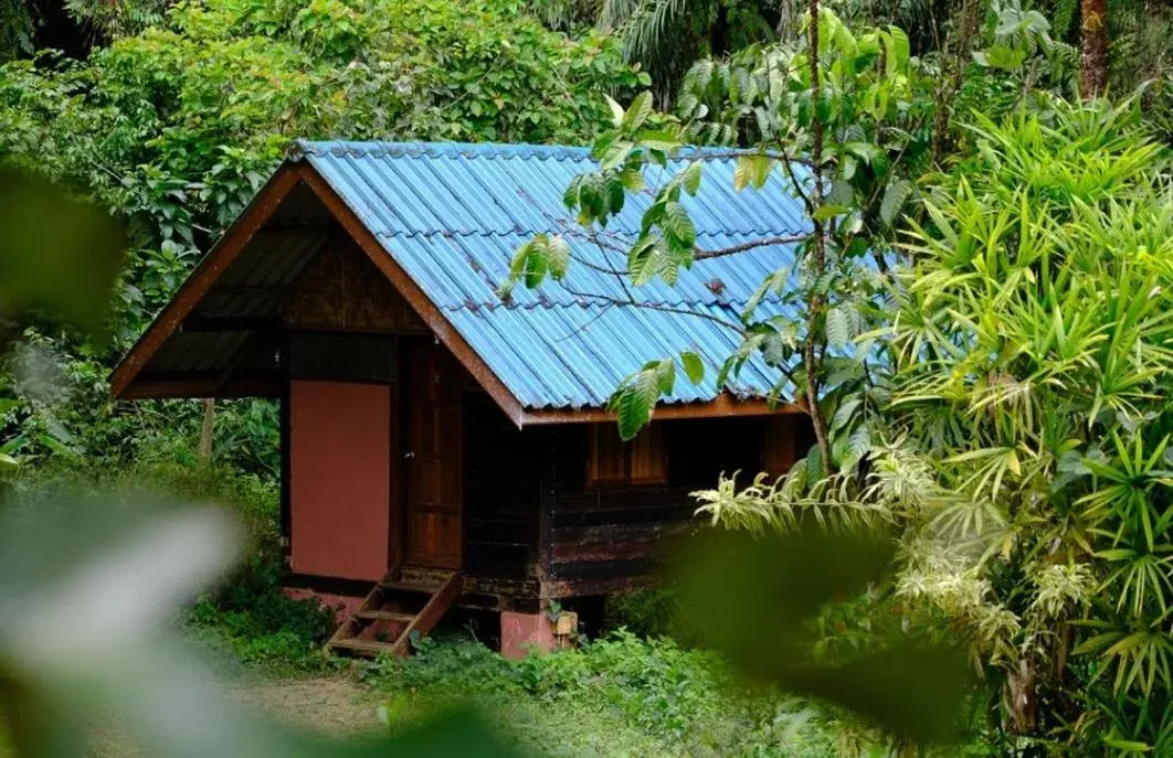 Standard Room with River View in Khao Sok Silver Cliff Resort Standard Room with River View in Khao Sok Silver Cliff Resort