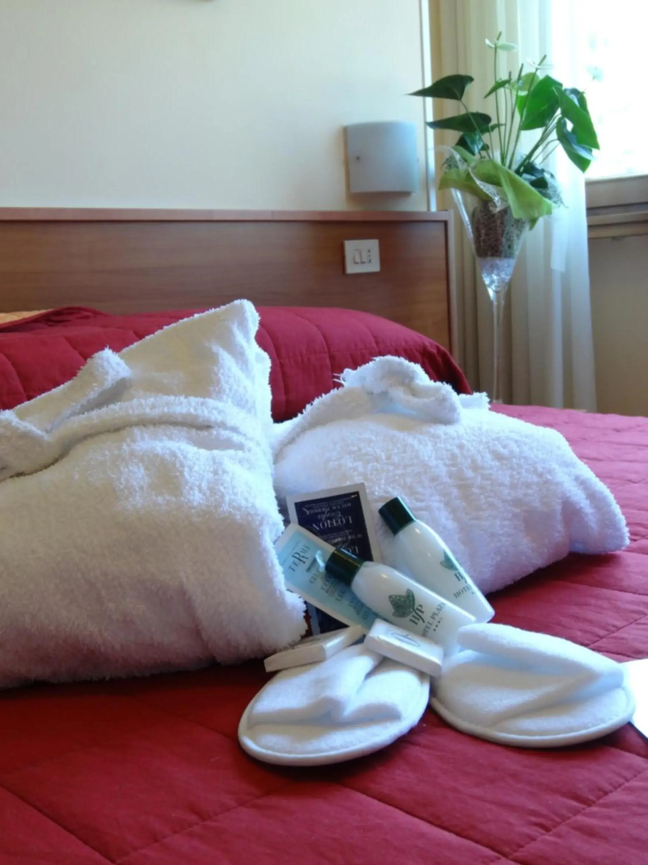 Single Room in Hotel Plaza Single Room in Hotel Plaza