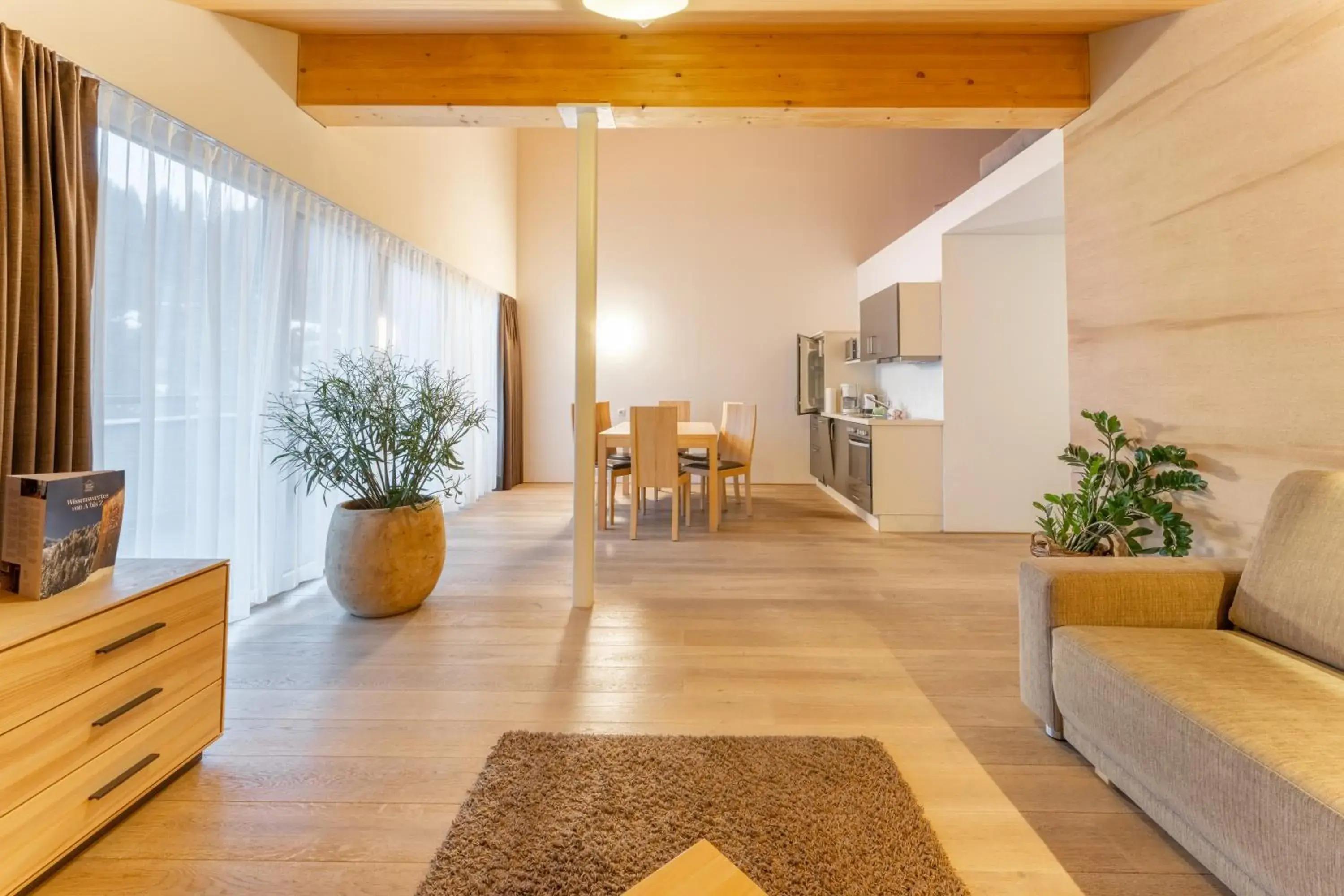 Superior Two bedroom Apartment in Aparthotel Alpinresort Damüls Superior Two bedroom Apartment in Aparthotel Alpinresort Damüls